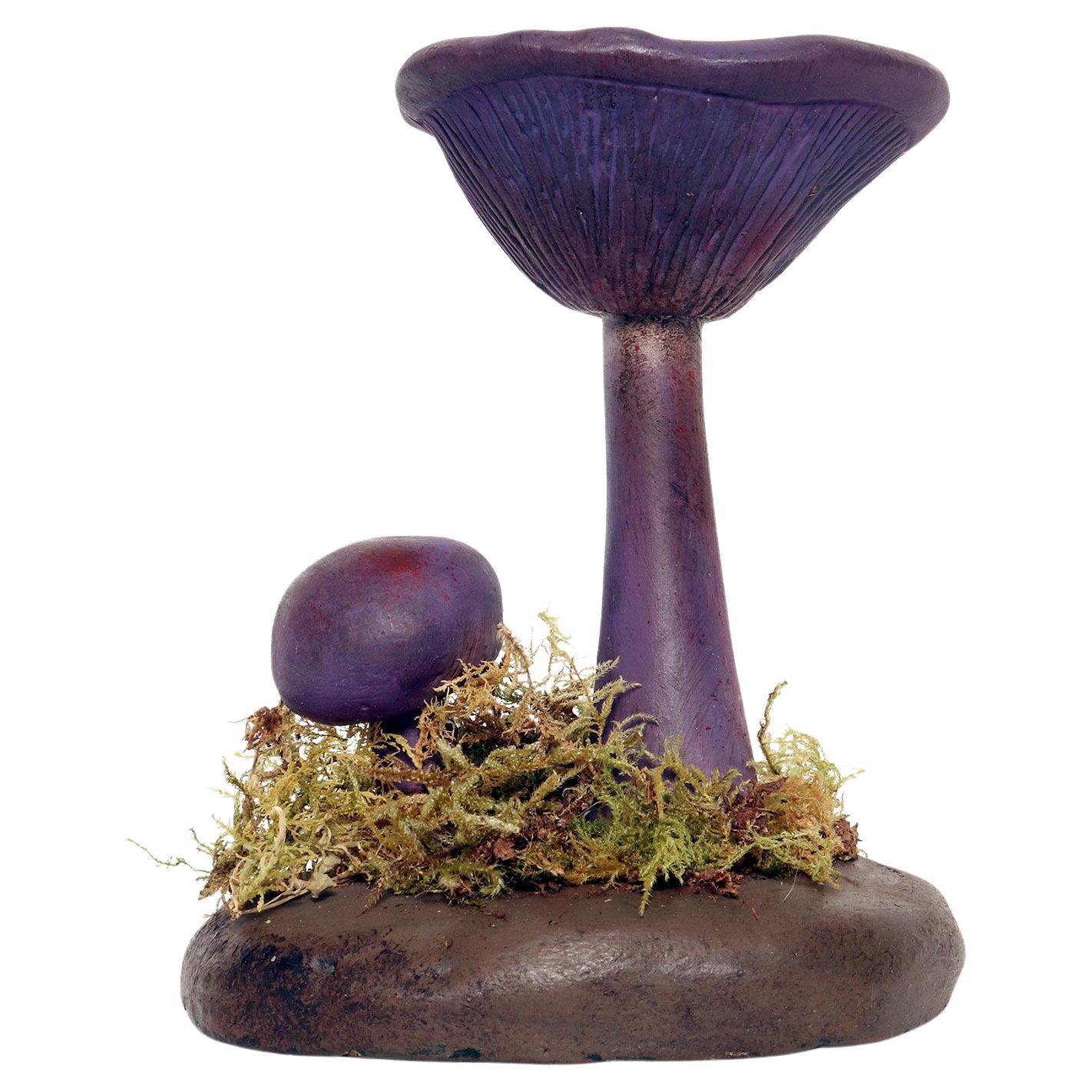 A pharmacy mushroom model: Cortinarius Violaceus, Italy 1950. For Sale