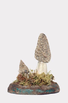 A pharmacy mushroom model: Morchella Vulgaris, Italy 1950.
