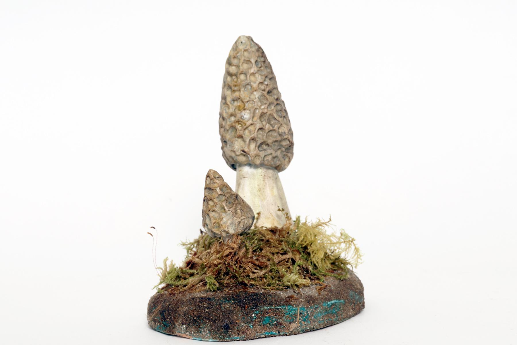 A pharmacy mushroom model: Morchella Vulgaris, Italy 1950. In Good Condition For Sale In Milan, IT