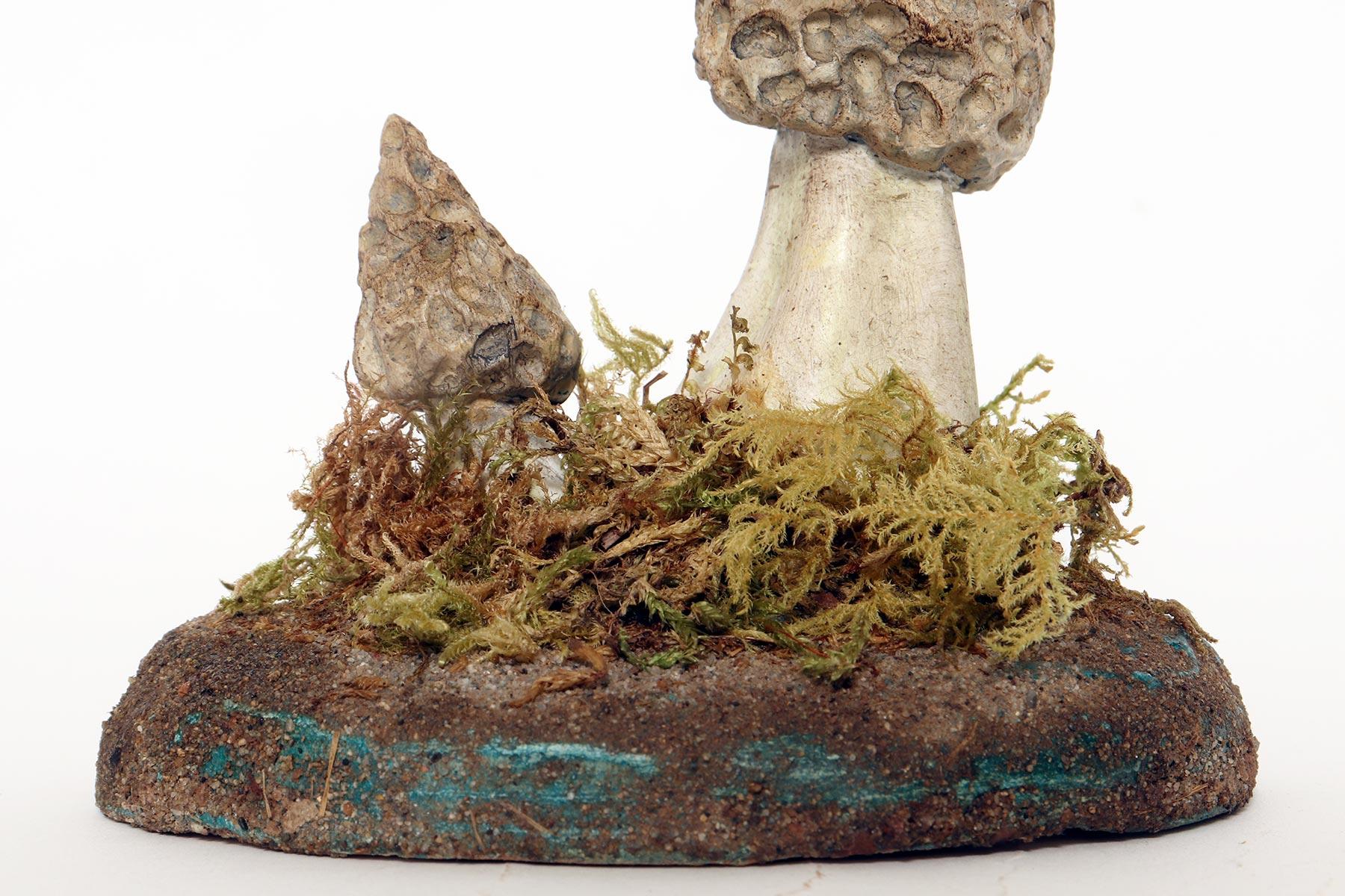 A pharmacy mushroom model: Morchella Vulgaris, Italy 1950. For Sale 1