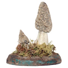 A pharmacy mushroom model: Morchella Vulgaris, Italy 1950.