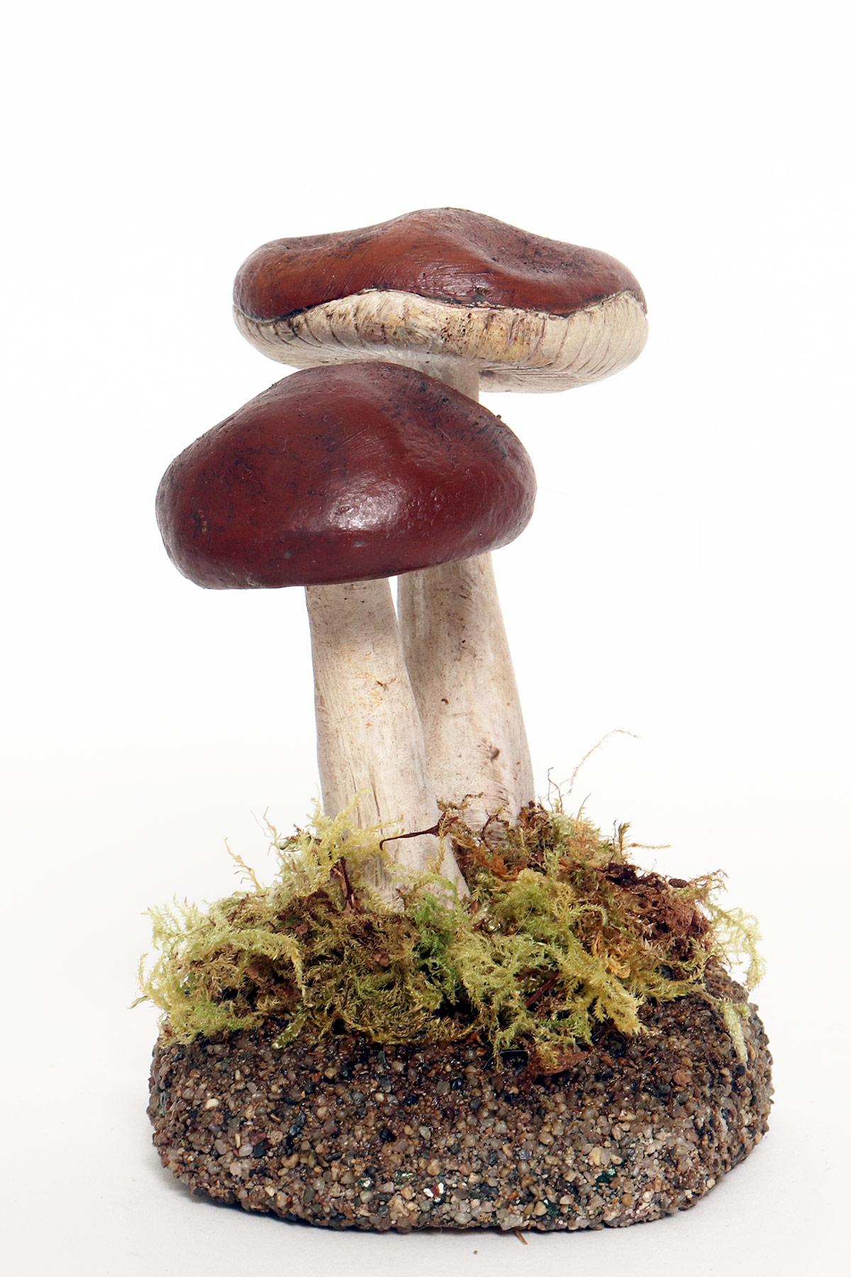 Italian A pharmacy mushroom model: Rhodocollybia Butyracea, Italy 1950. For Sale