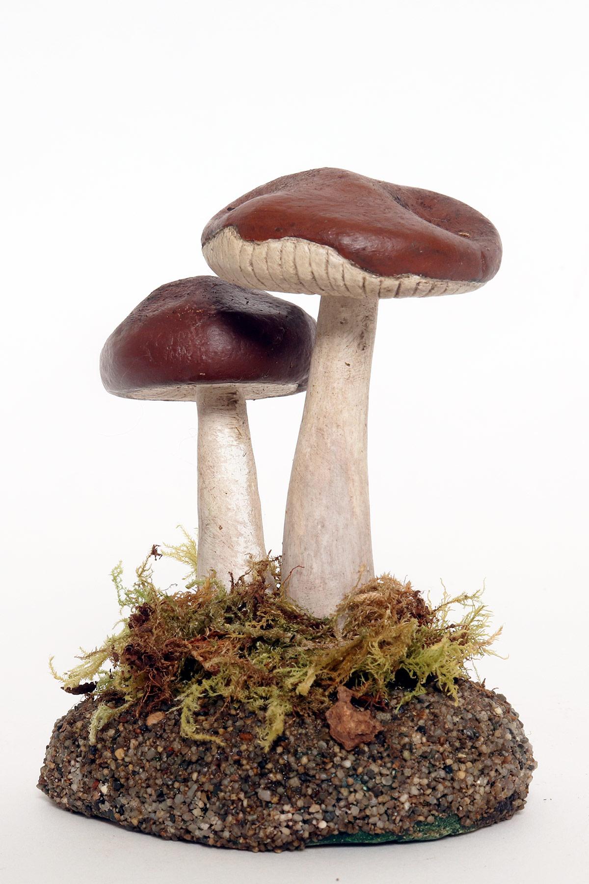A pharmacy mushroom model: Rhodocollybia Butyracea, Italy 1950. In Good Condition For Sale In Milan, IT