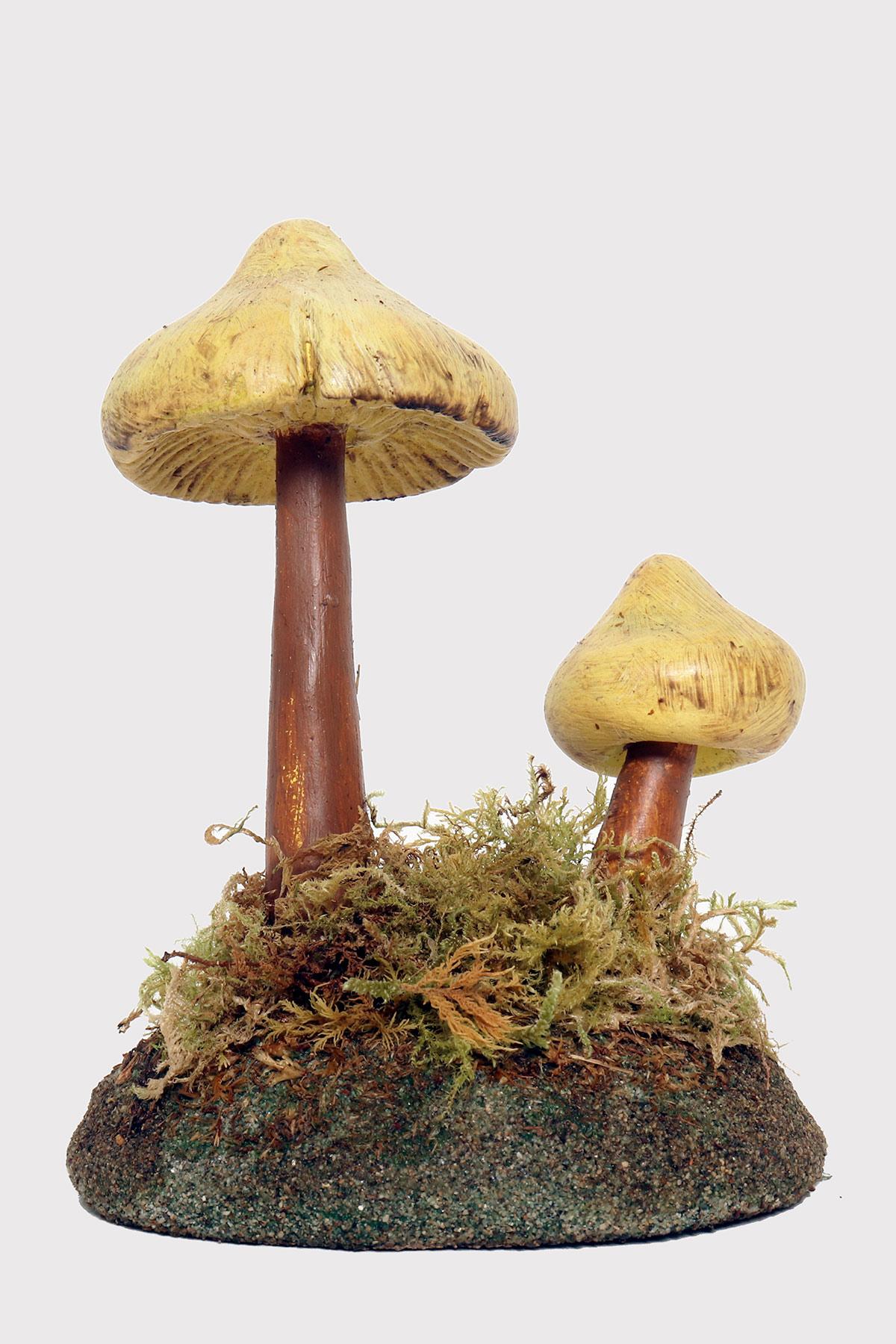 A pharmacy model of a specimen of Tricholoma Sulphureum mushroom, made in painted plaster, on a green oval-shaped plaster base with moss and hay. Italy circa 1950.