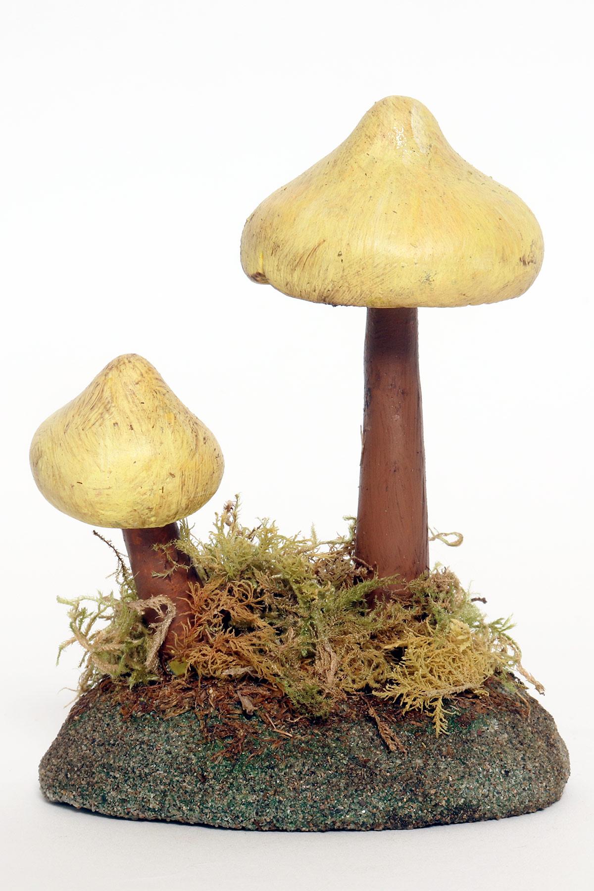 Italian A pharmacy mushroom model: Tricholoma Sulphureum, Italy 1950. For Sale