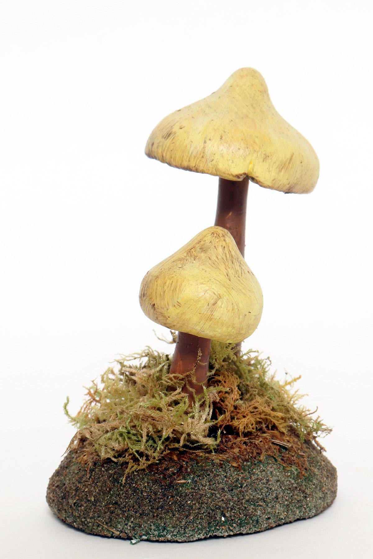 A pharmacy mushroom model: Tricholoma Sulphureum, Italy 1950. In Good Condition For Sale In Milan, IT