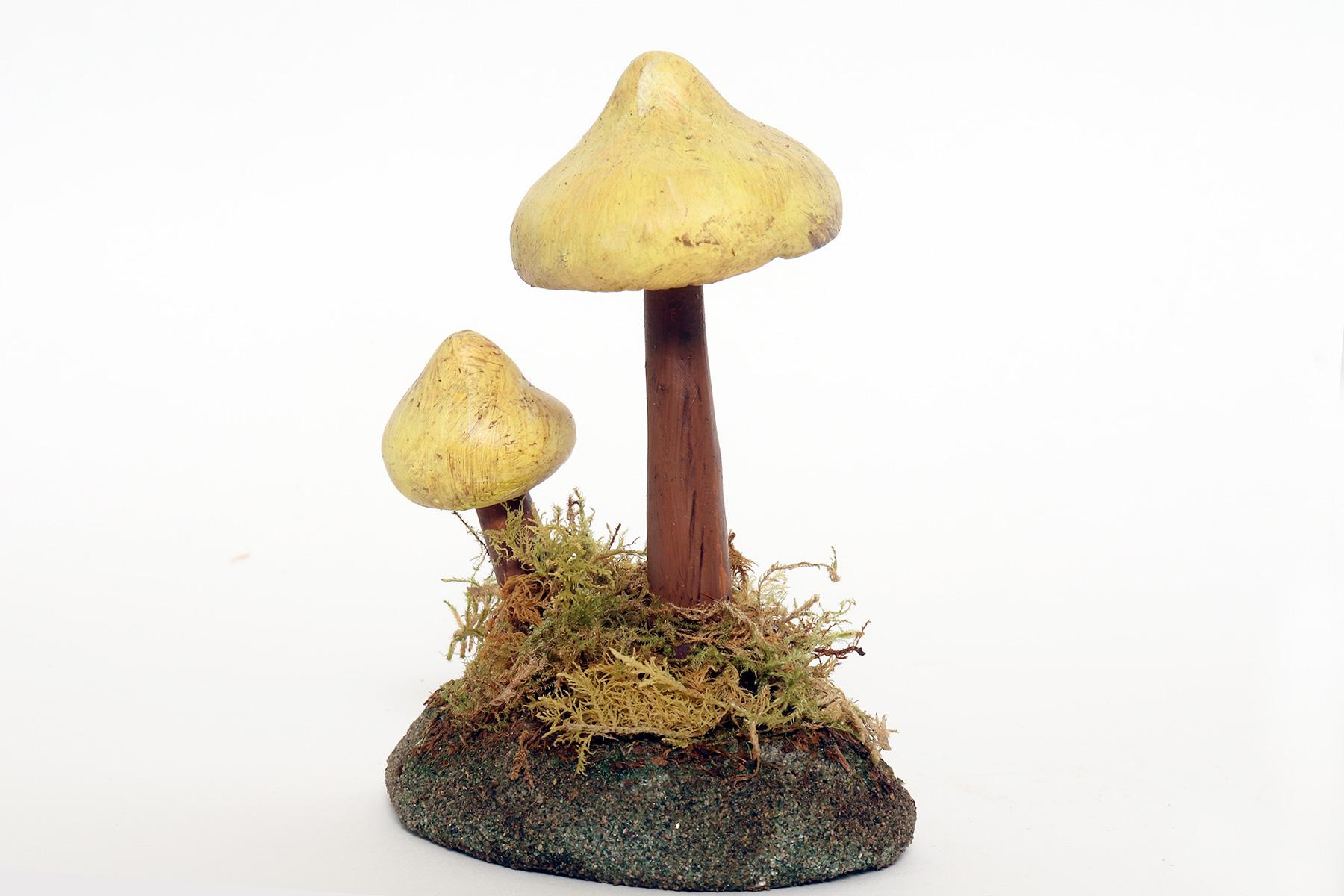 20th Century A pharmacy mushroom model: Tricholoma Sulphureum, Italy 1950. For Sale