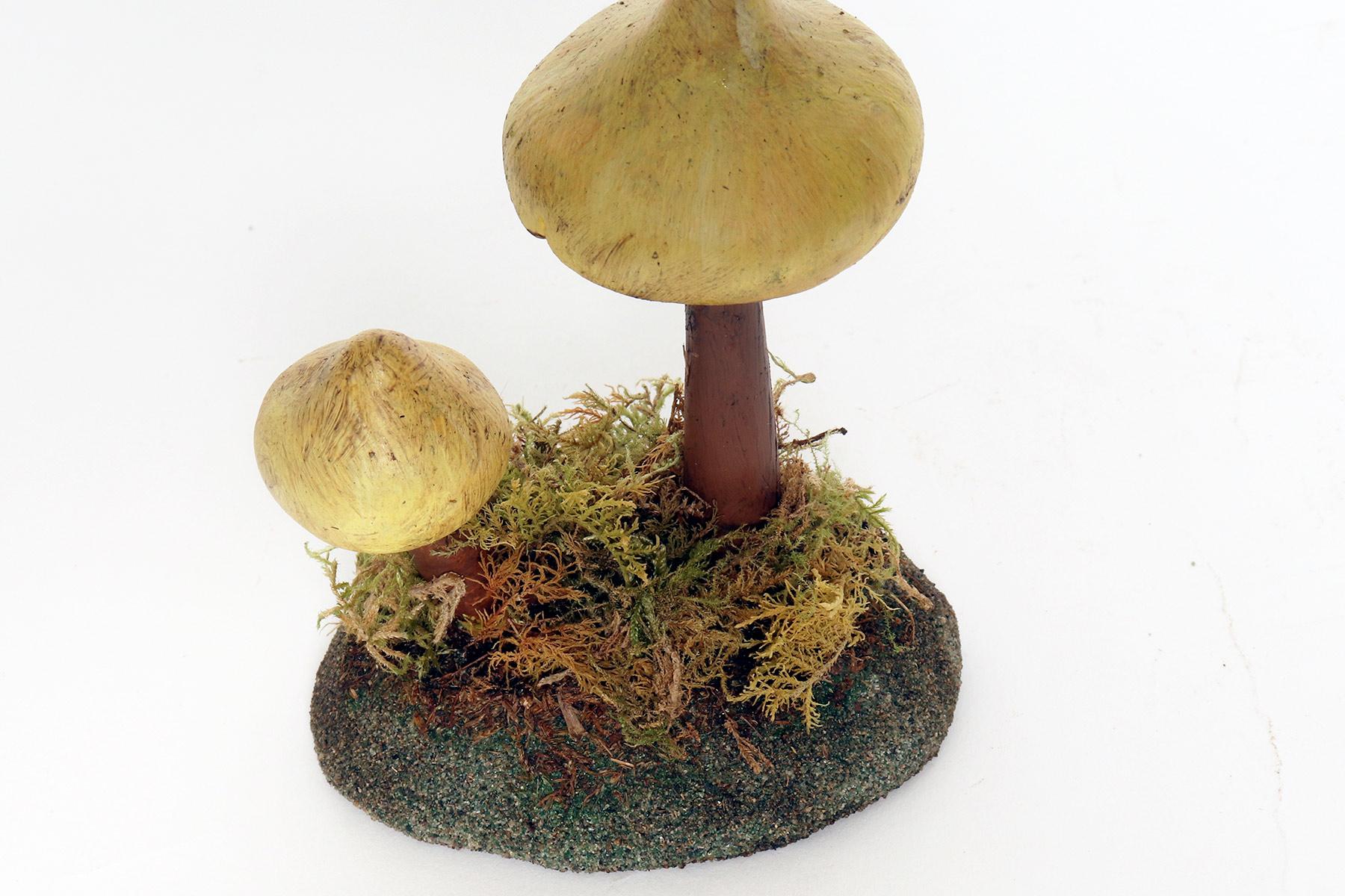 Plaster A pharmacy mushroom model: Tricholoma Sulphureum, Italy 1950. For Sale