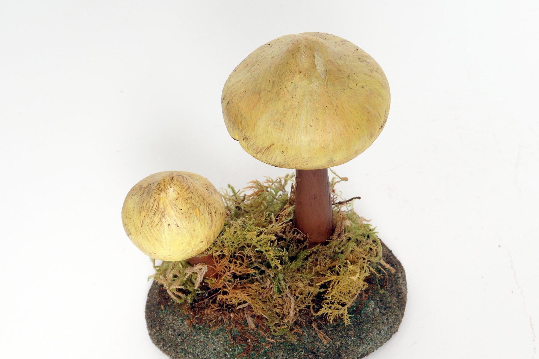 A pharmacy mushroom model: Tricholoma Sulphureum, Italy 1950. For Sale 1