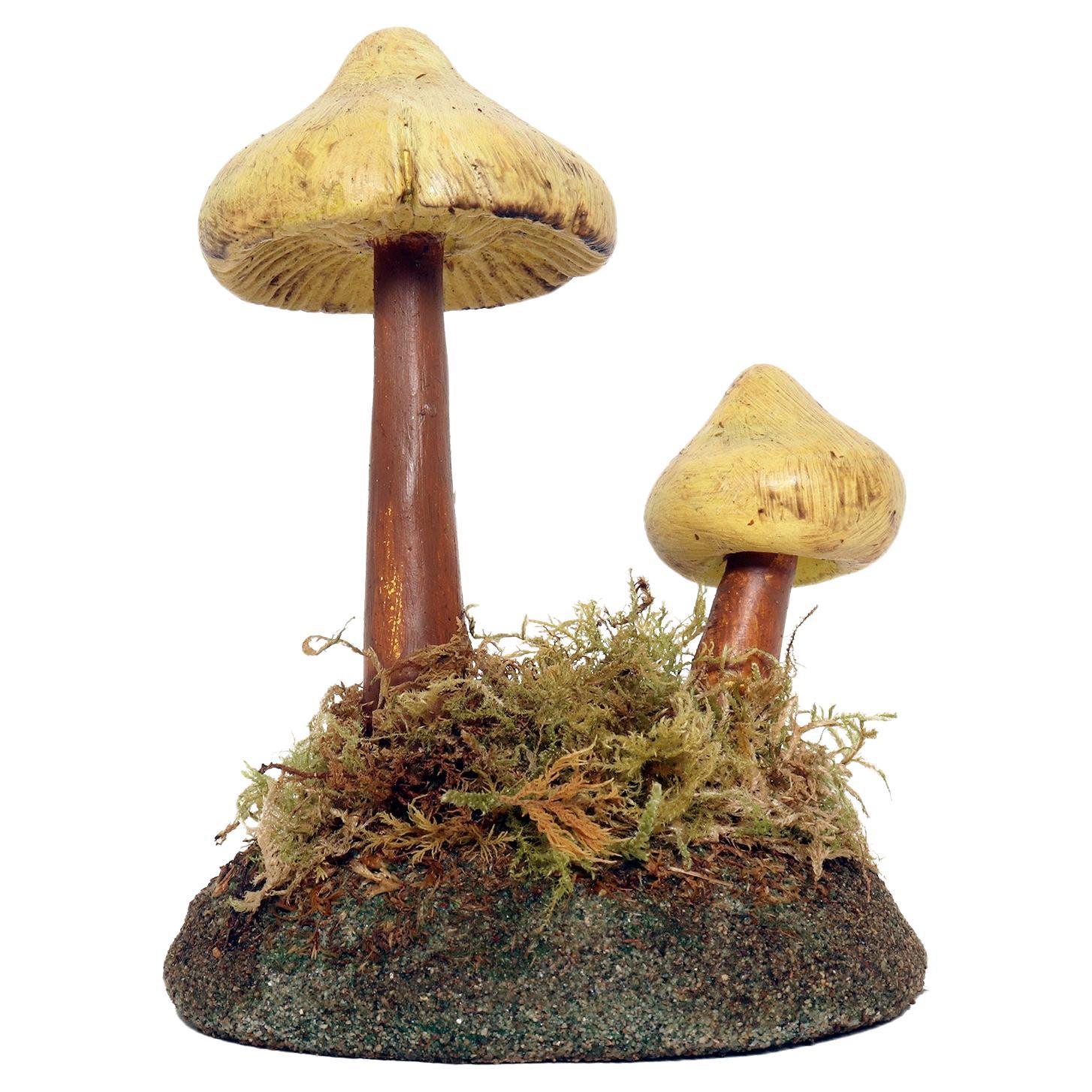 A pharmacy mushroom model: Tricholoma Sulphureum, Italy 1950.