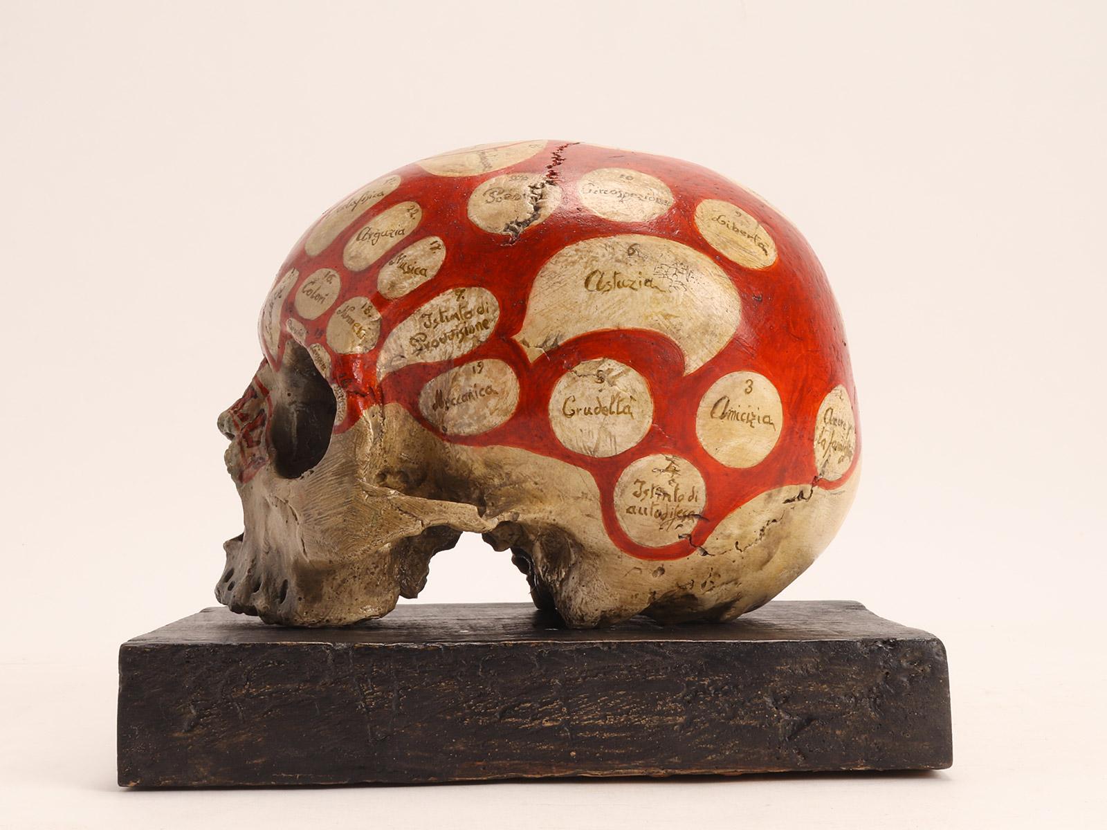 Phrenological Skull According to the Theory of Franz J. Gall, Italy, circa 1850 In Excellent Condition In Milan, IT