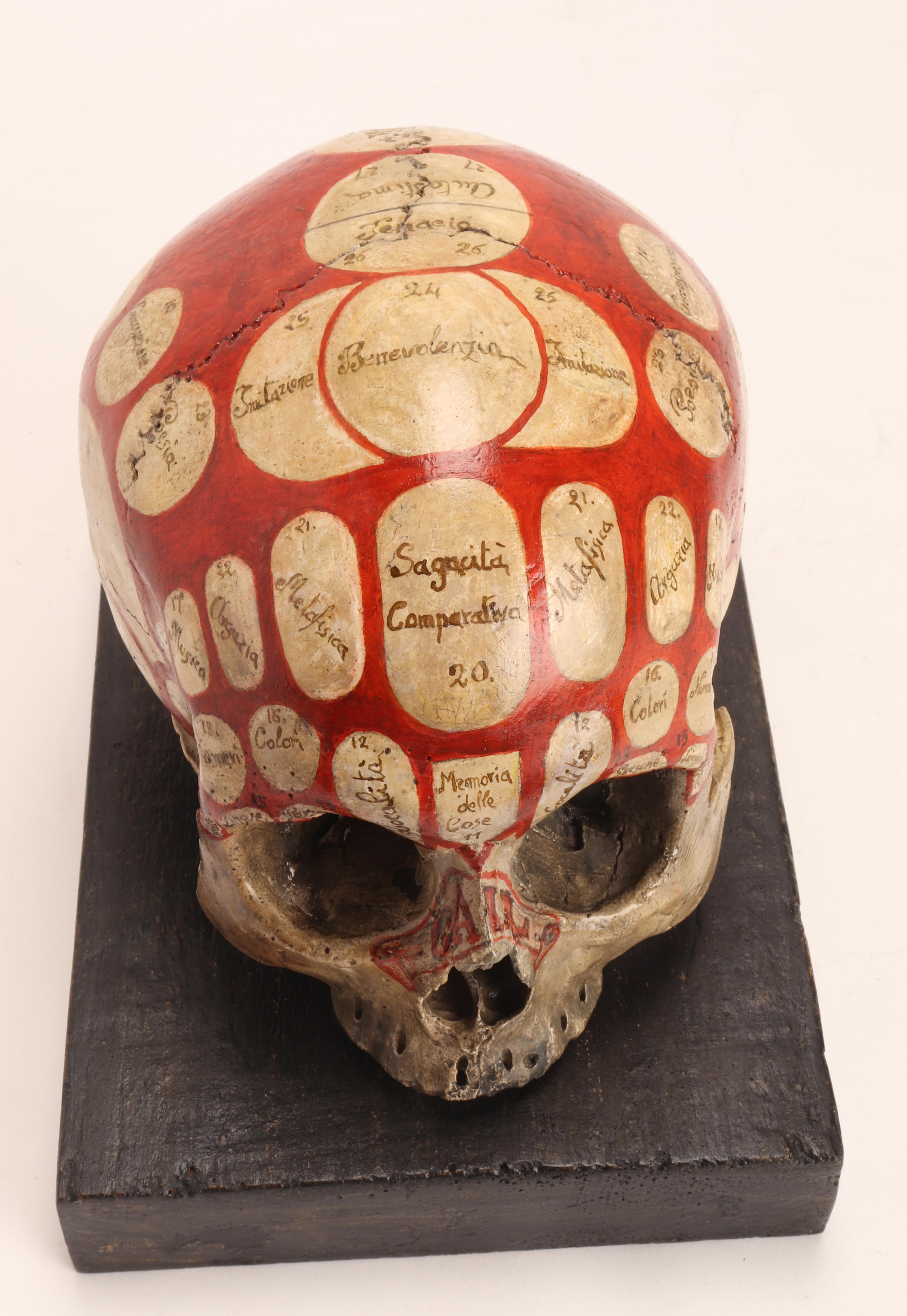 Phrenological Skull According to the Theory of Franz J. Gall, Italy, circa 1850 2