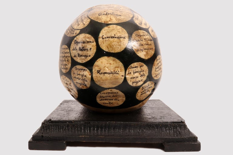 Phrenological Skull According to the Theory of Franz Joseph Gall