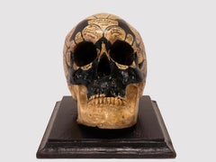 A phrenological skull according to the theory of Franz Joseph Gall, Italy 1856