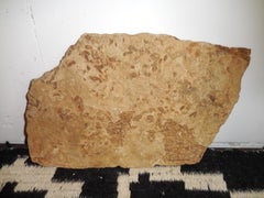 Piece of Poleoporel Lime with Fossils from the Baltic Sea Area