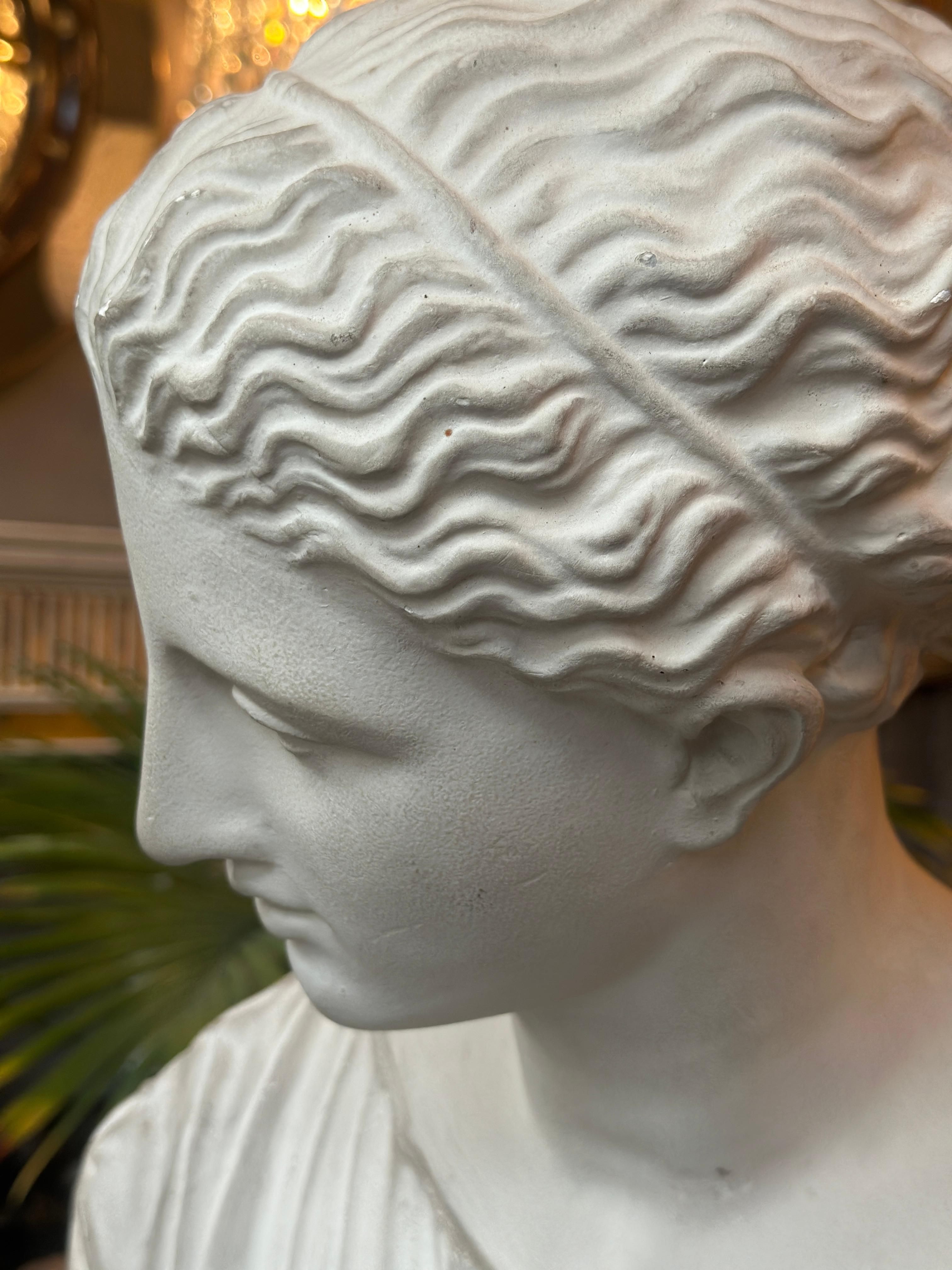 Buste en plâtre d'après l'antique du musée du Louvre en vente 3