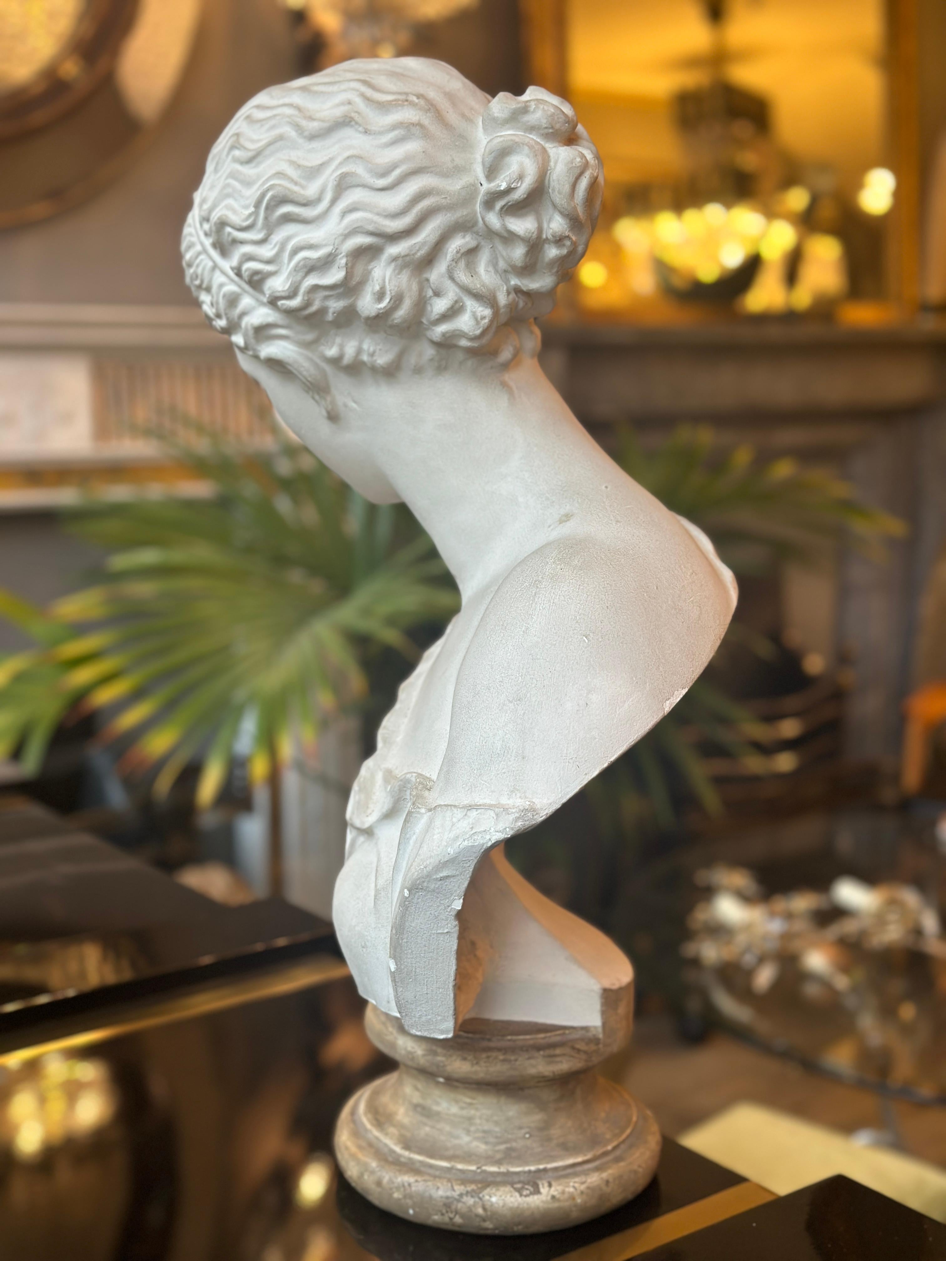 Plâtre Buste en plâtre d'après l'antique du musée du Louvre en vente