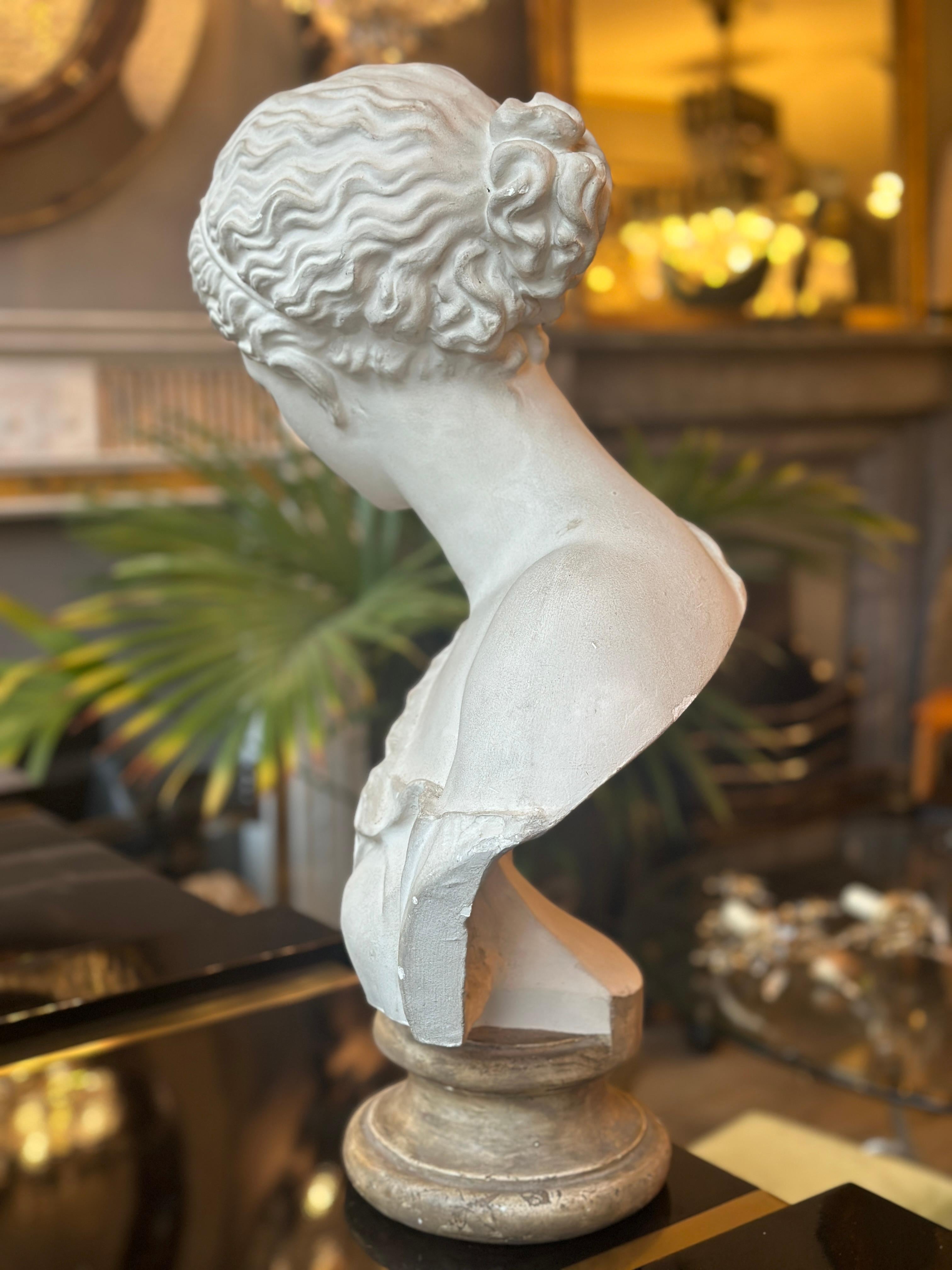 Buste en plâtre d'après l'antique du musée du Louvre en vente 1