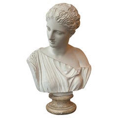 Eine Gipsbüste nach der Antiquität aus dem Louvre-Museum