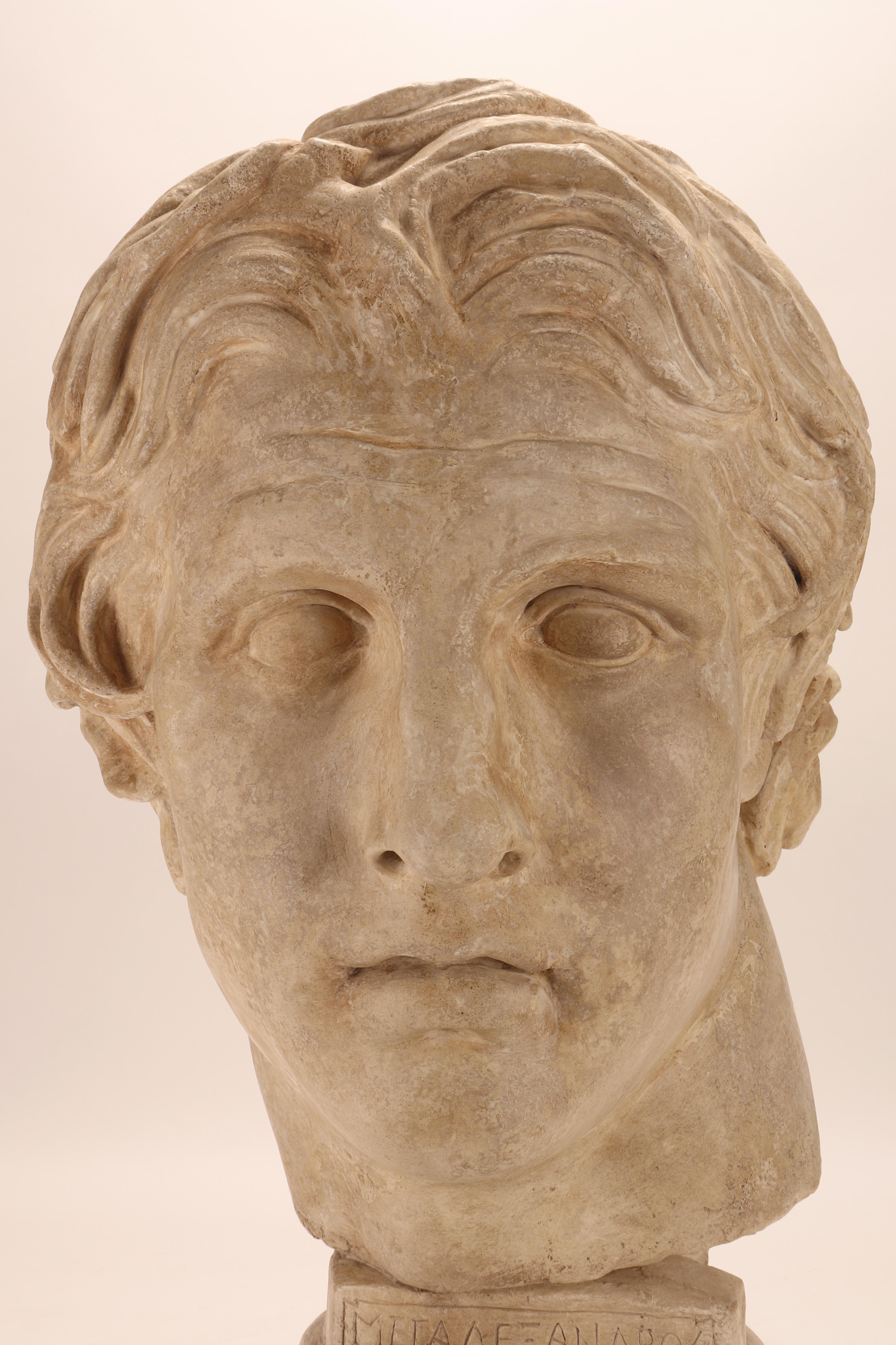 Plaster Cast: the Head of Alexander the Great, Italy 1890 For Sale 2