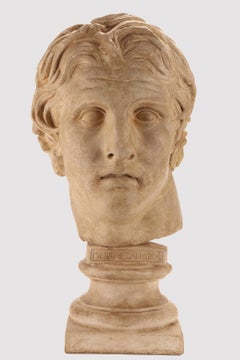 A plaster cast: the head of Alexander the Great, Italy 1890.