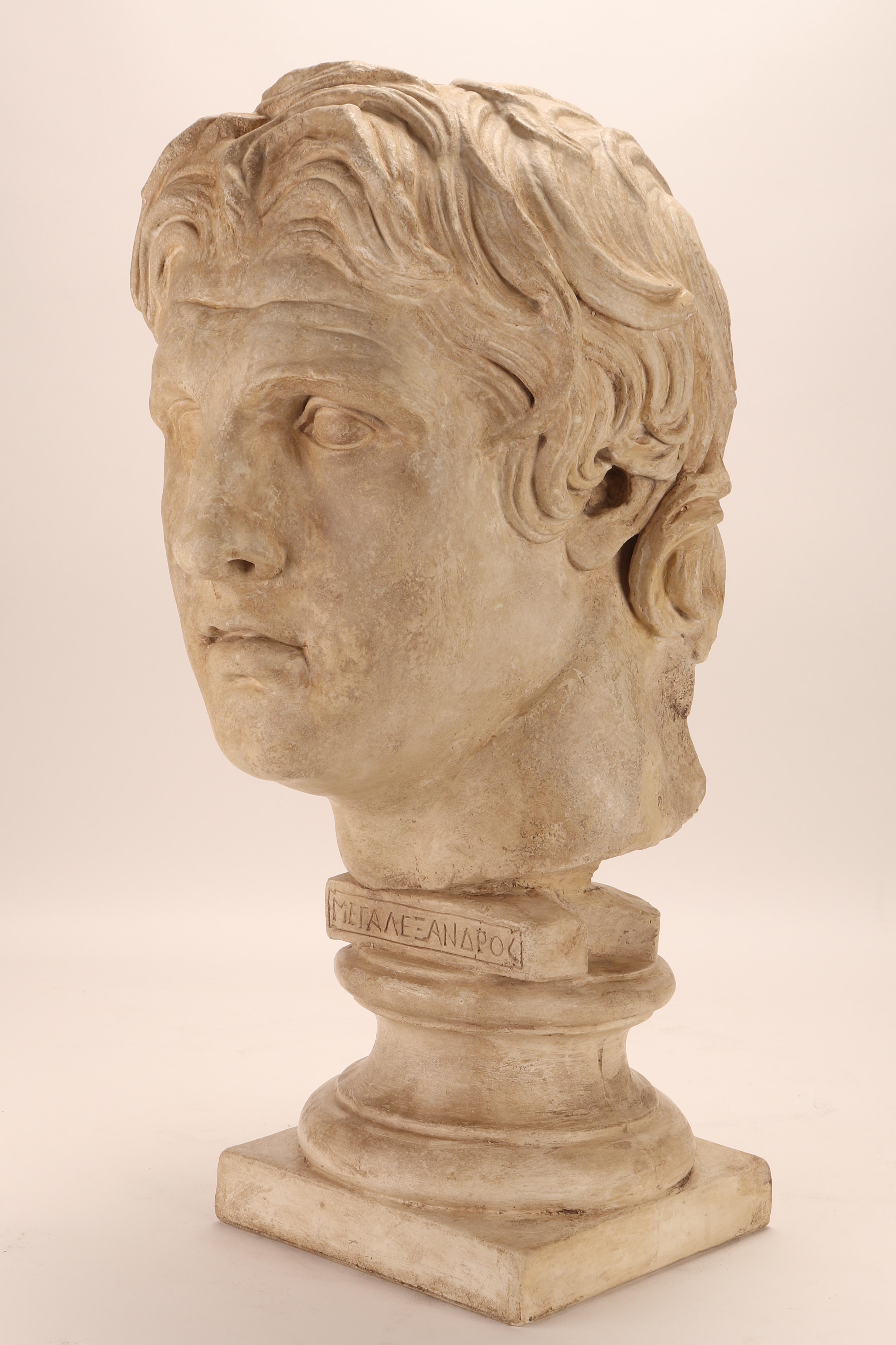Italian Plaster Cast: the Head of Alexander the Great, Italy 1890 For Sale