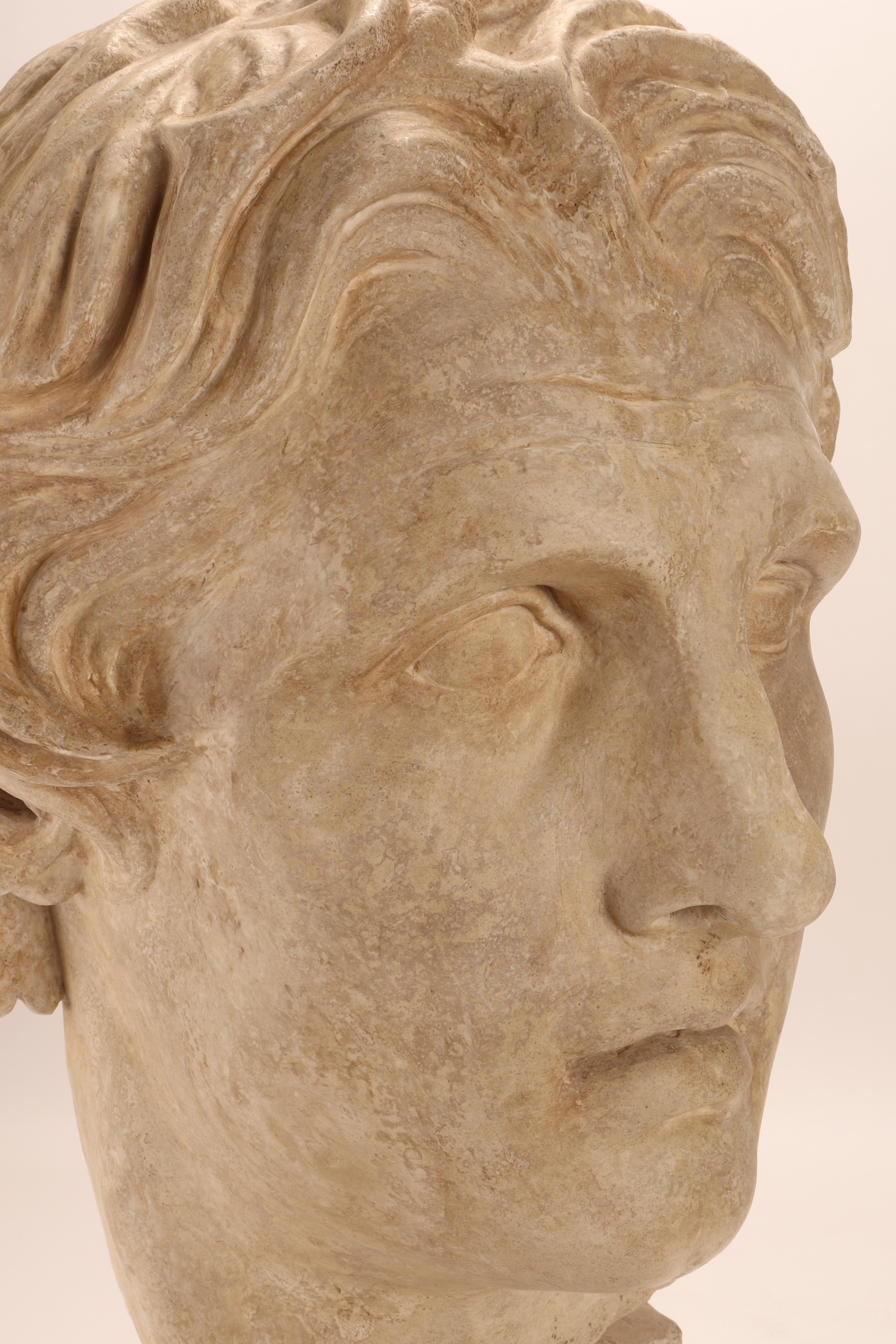 Plaster Cast: the Head of Alexander the Great, Italy 1890 In Good Condition For Sale In Milan, IT
