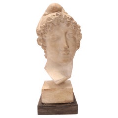 Antique A Plaster Cast the Head of Paride, Italy 1890