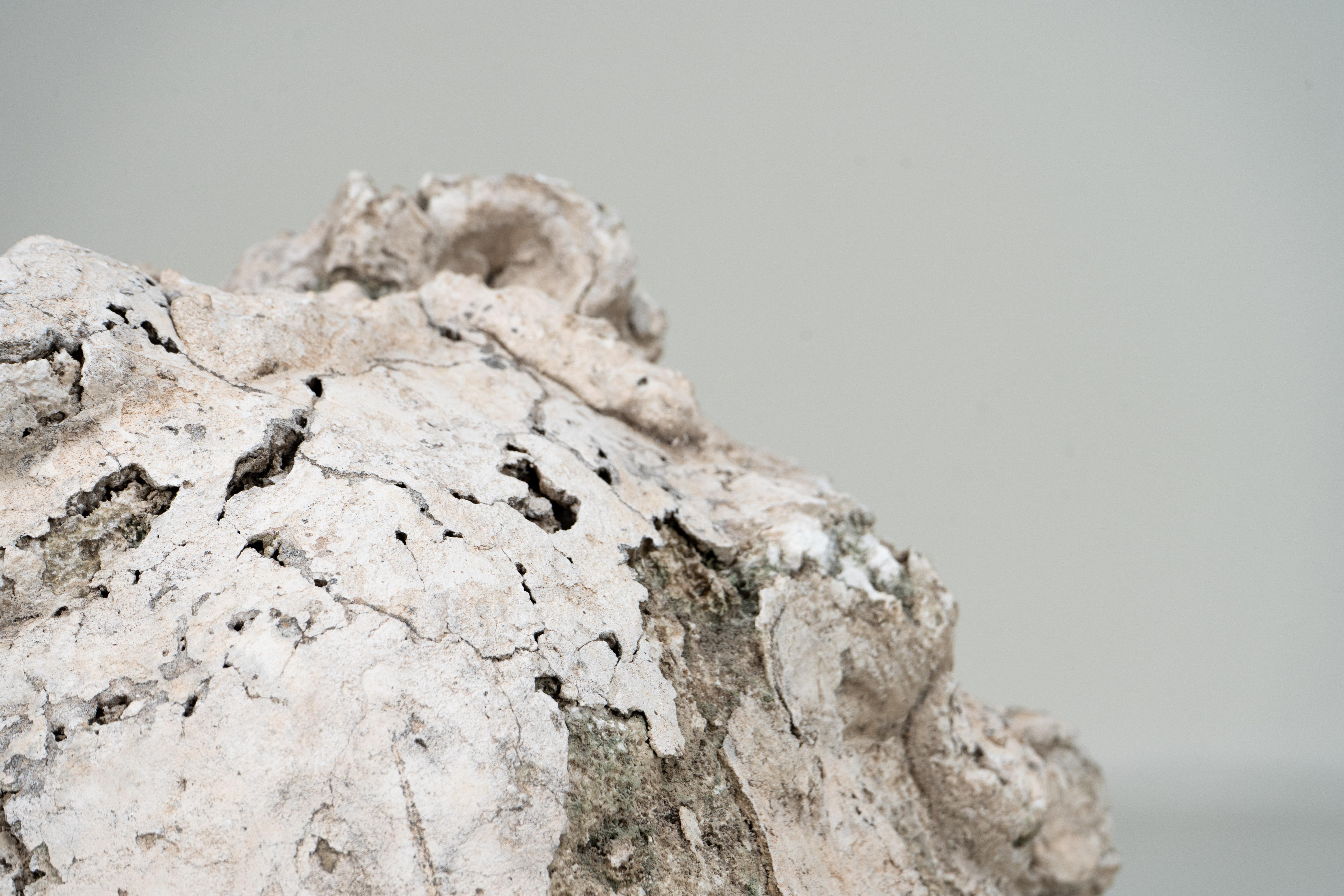 Plâtre Sculpture en plâtre d'un visage d'enfant en vente