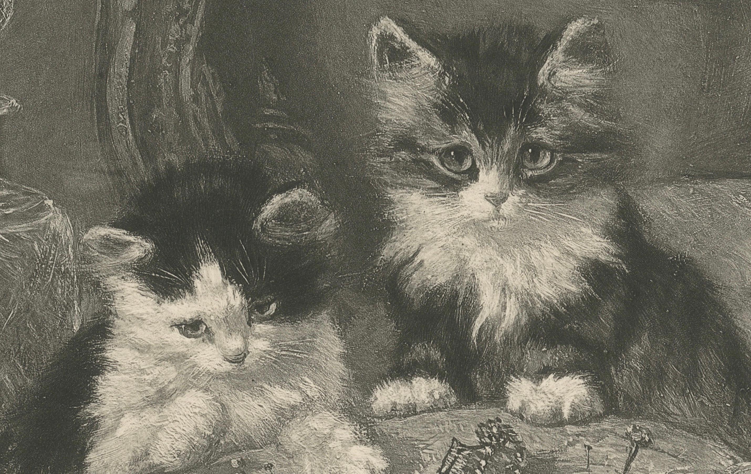 Late 19th Century 