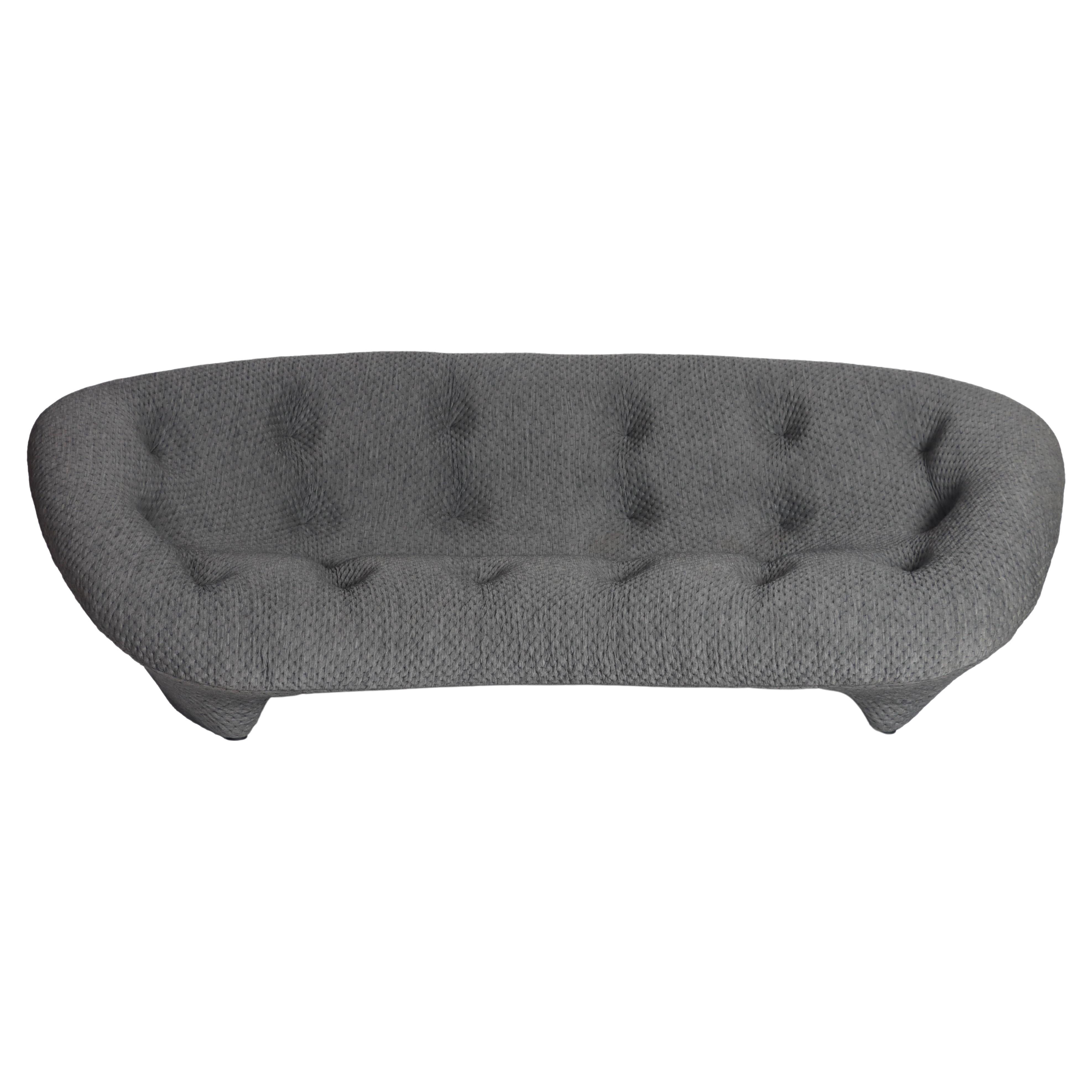 Ploum Sofa - 3 For Sale on 1stDibs | ligne roset ploum sofa second hand, ploum  sofa for sale, ploum sofa price