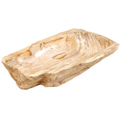 Un évier en bois pétrifié poli.  De forme oblongue avec des tons beige, crème et marron 