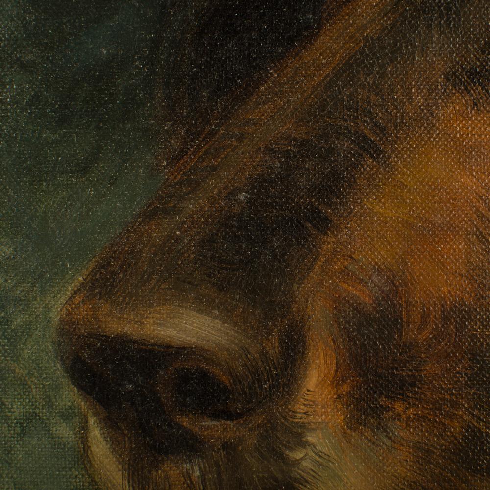 Portrait d'un chien brun dans un cadre en bois.
- Huile sur toile, signée de manière indiscernable en bas à droite, 