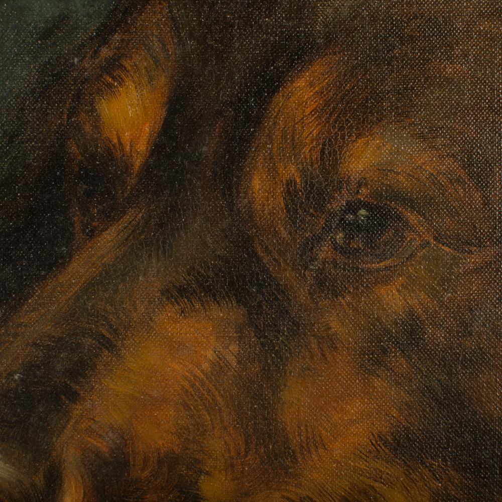Européen Portrait d'un chien, probablement européen, C.I.C. en vente