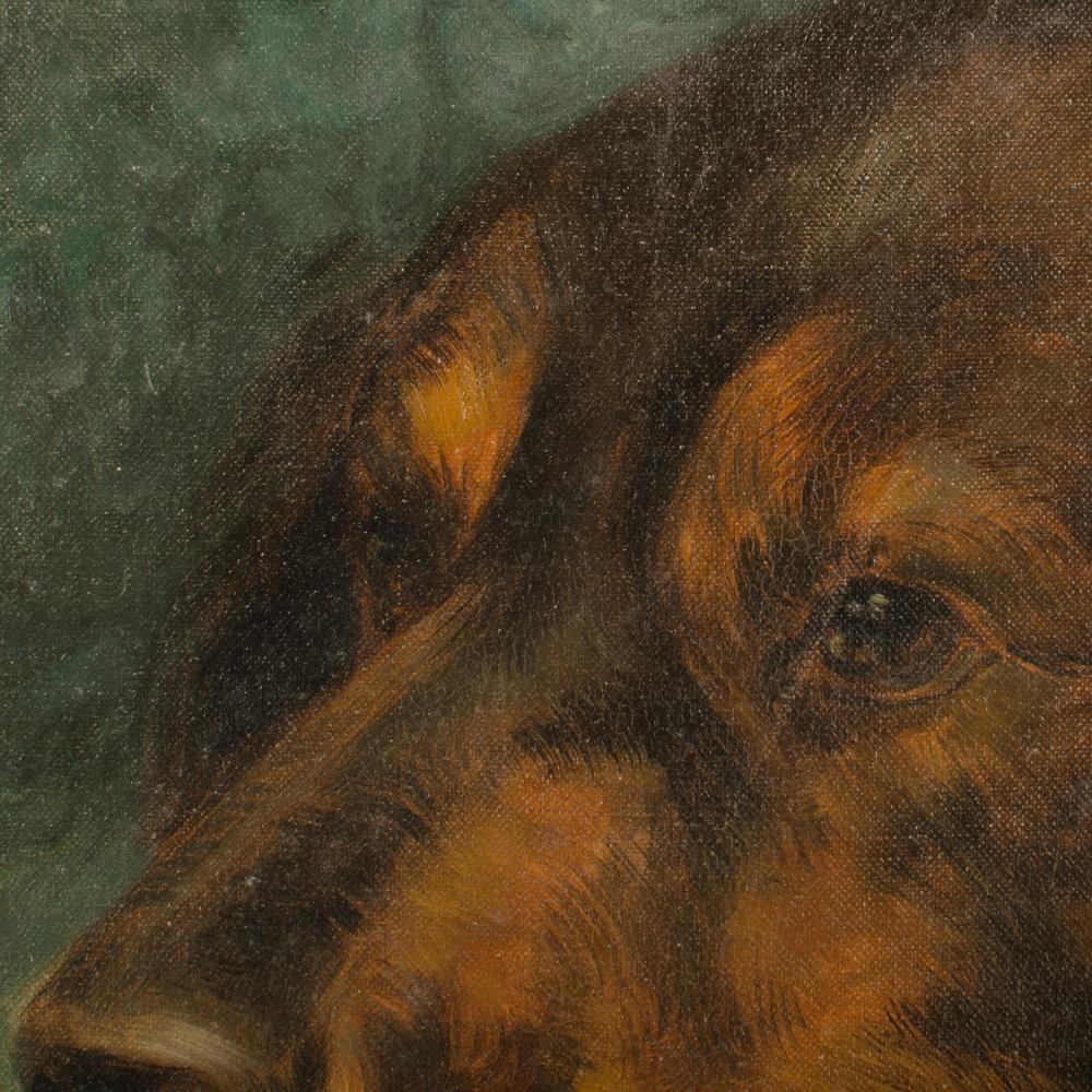 Toile Portrait d'un chien, probablement européen, C.I.C. en vente