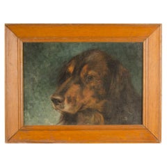 Portrait d'un chien, probablement européen, C.I.C.