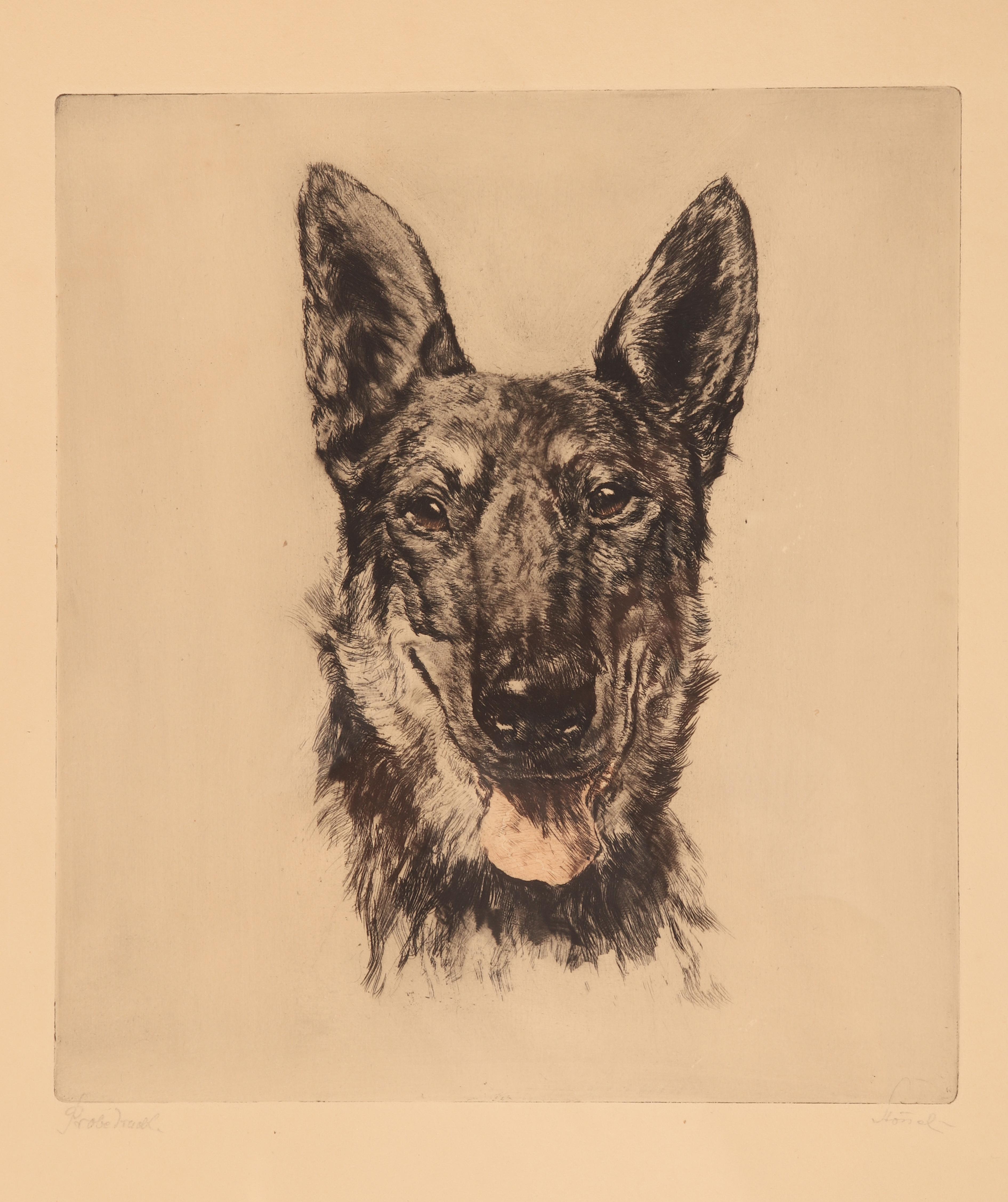Porträt eines deutschen Hirtenhundkopfes, Deutschland, 1930 im Zustand „Hervorragend“ im Angebot in Milan, IT