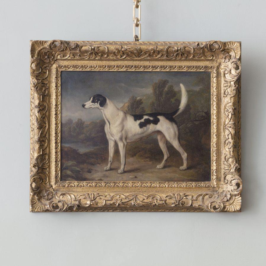 Anglais Portrait d'un chien de chasse dans un paysage en vente