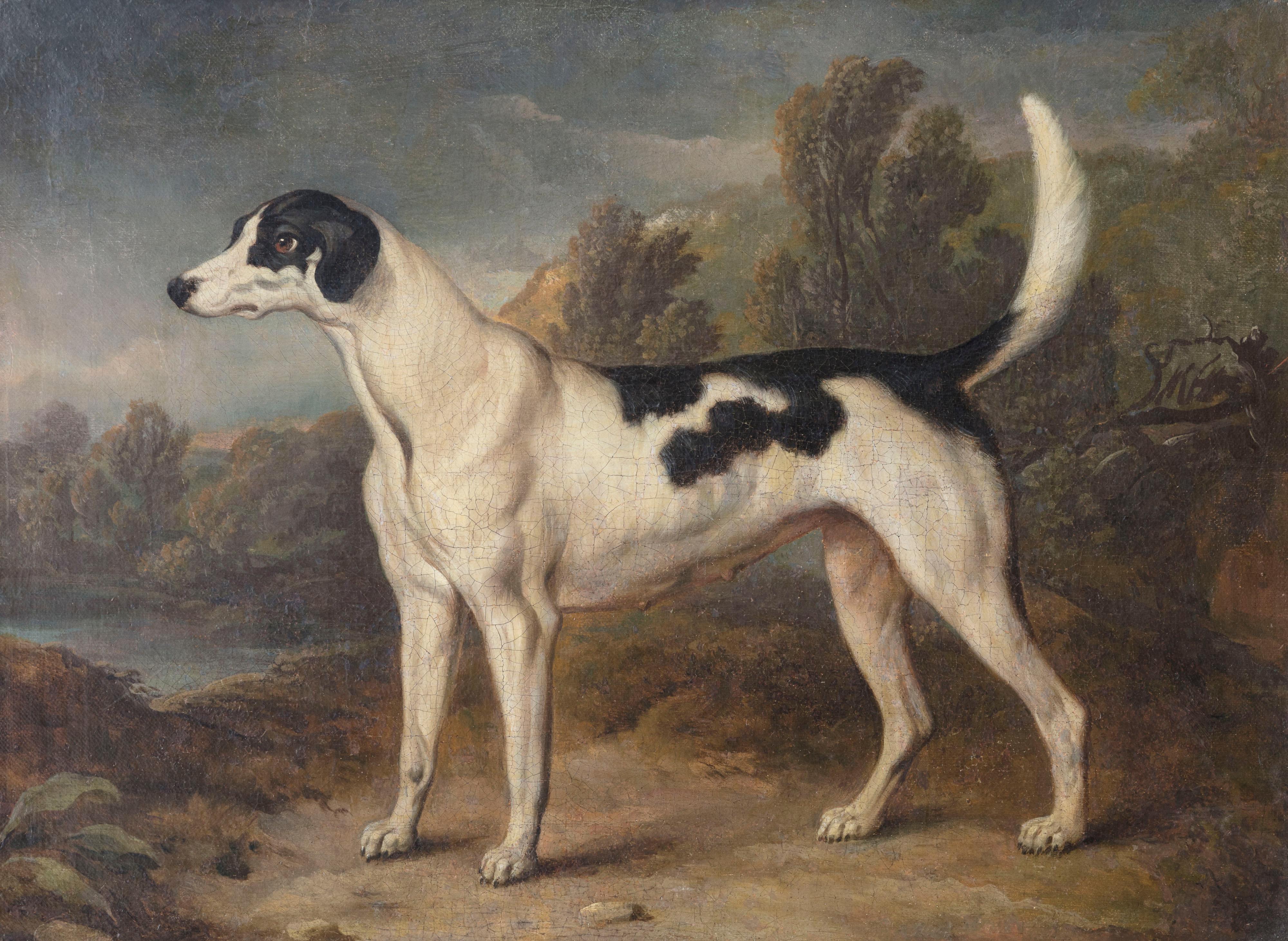 Porträt eines Hundes in einer Landschaft (Gemalt) im Angebot