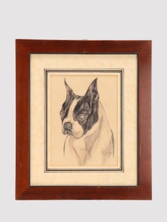 A portrait of Jim, a Boston terrier dog, USA 1930.