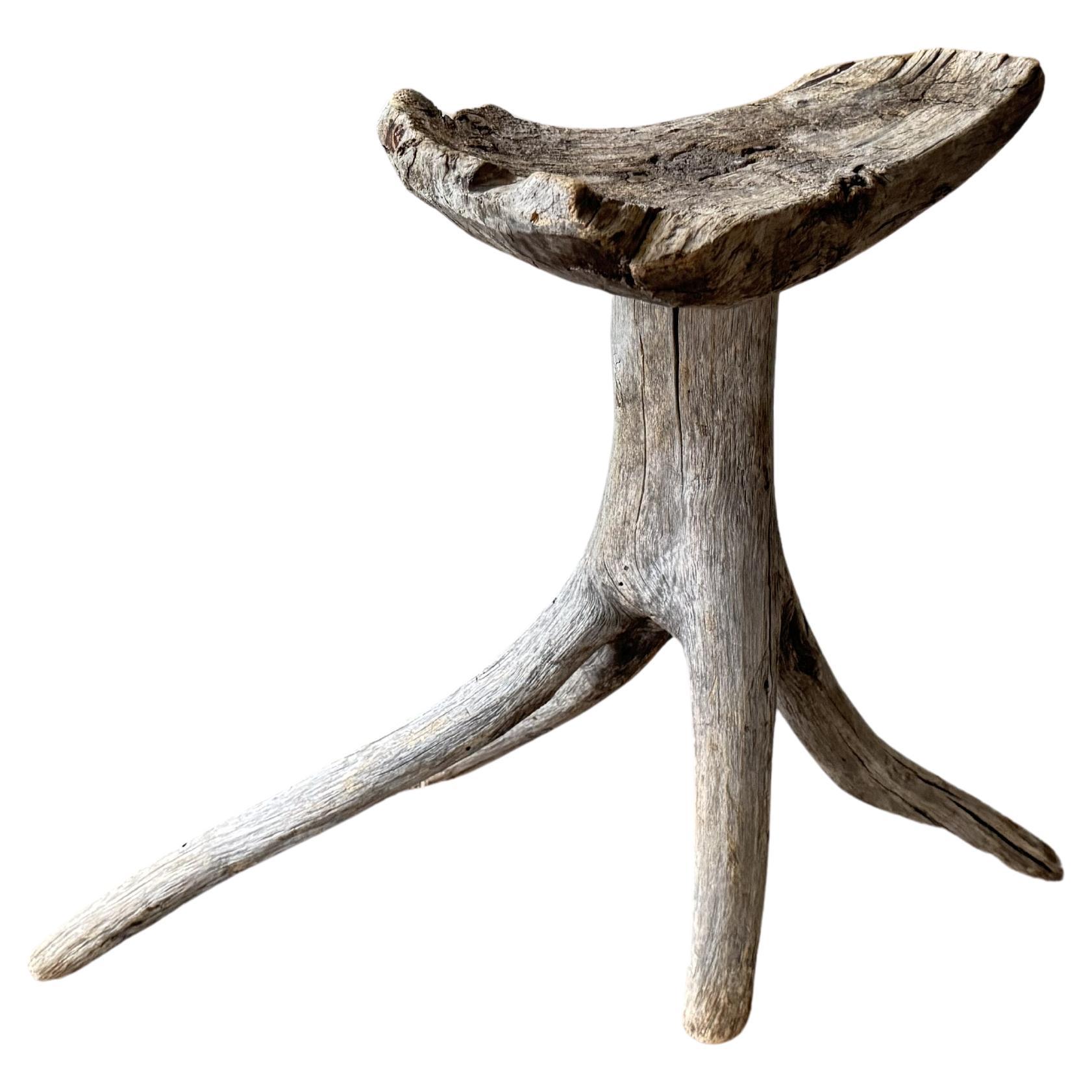 A Primitive Root Stool For Sale