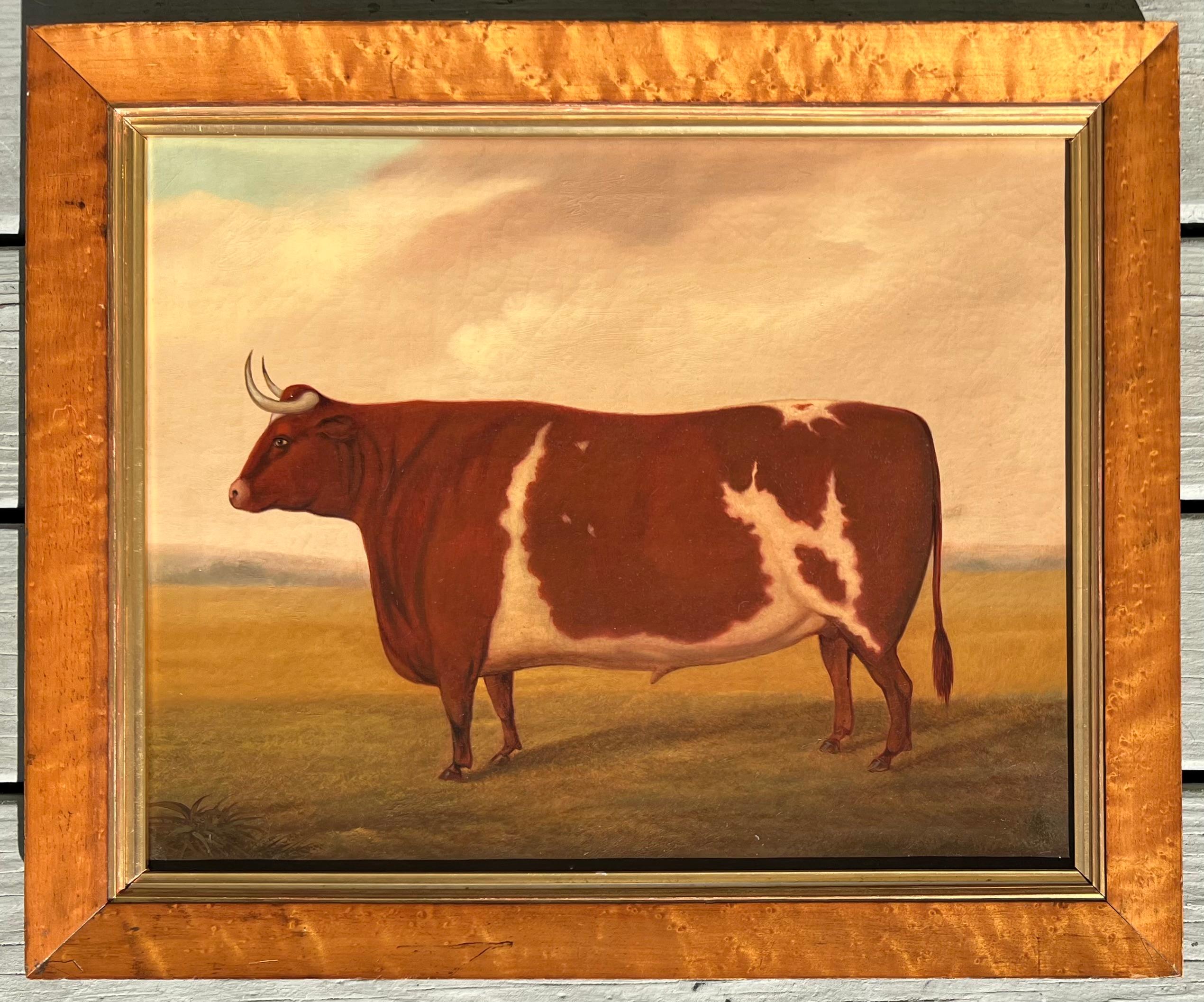 Oil on canvas, signed 'Joe Jonas' and dated 186(4)? on reverse. Presented in a maple frame and in excellent condition overall given its age. Presents very well and ready to hang. Either English or American School. Featuring a prize bull, possibly