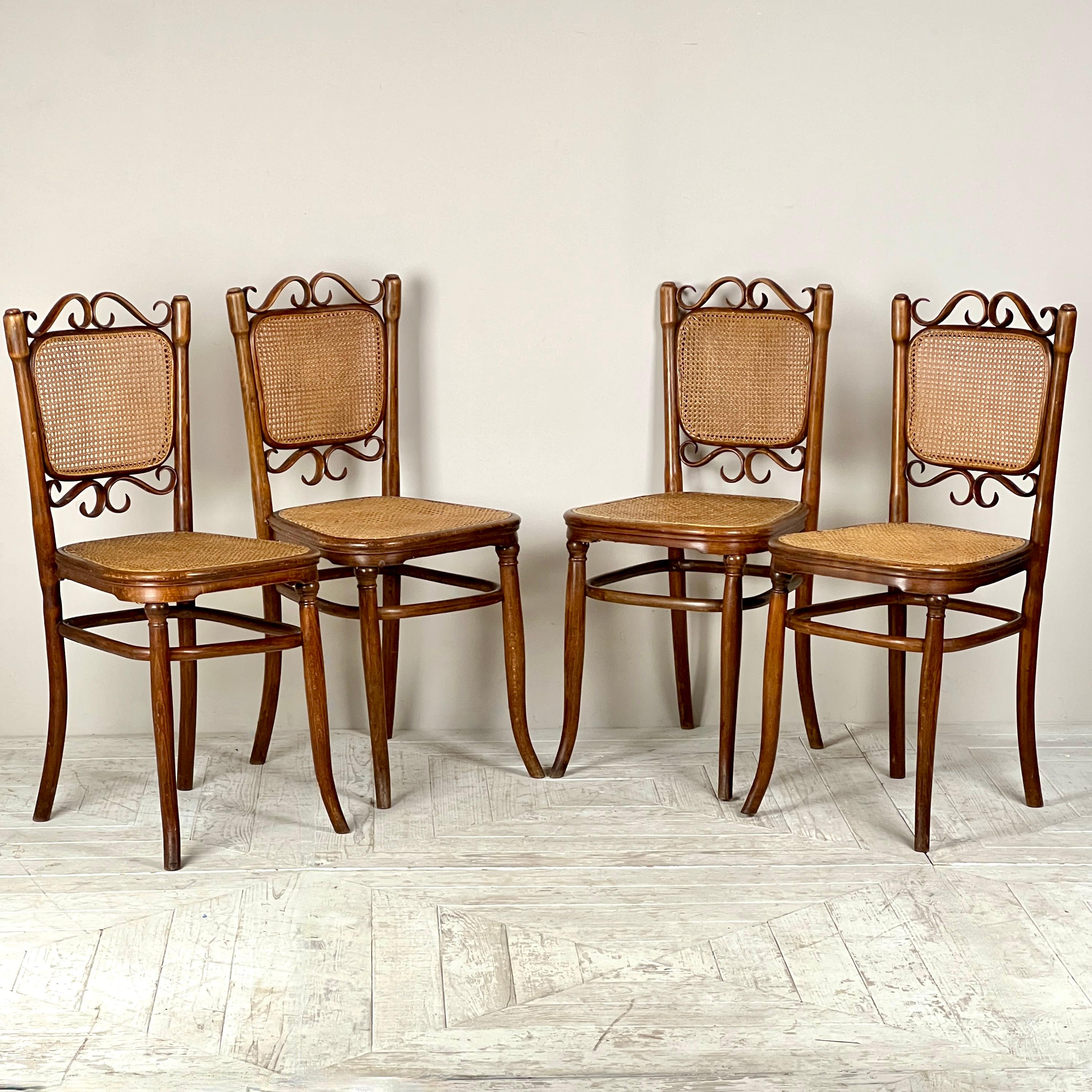 Rare ensemble de quatre chaises en hêtre, en bois courbé et en rotin, conçu par Josef Hoffmann, datant du début du 20e siècle. Les chaises sont en excellent état d'origine, avec des restes de leurs étiquettes en papier encore intactes. Les dossiers