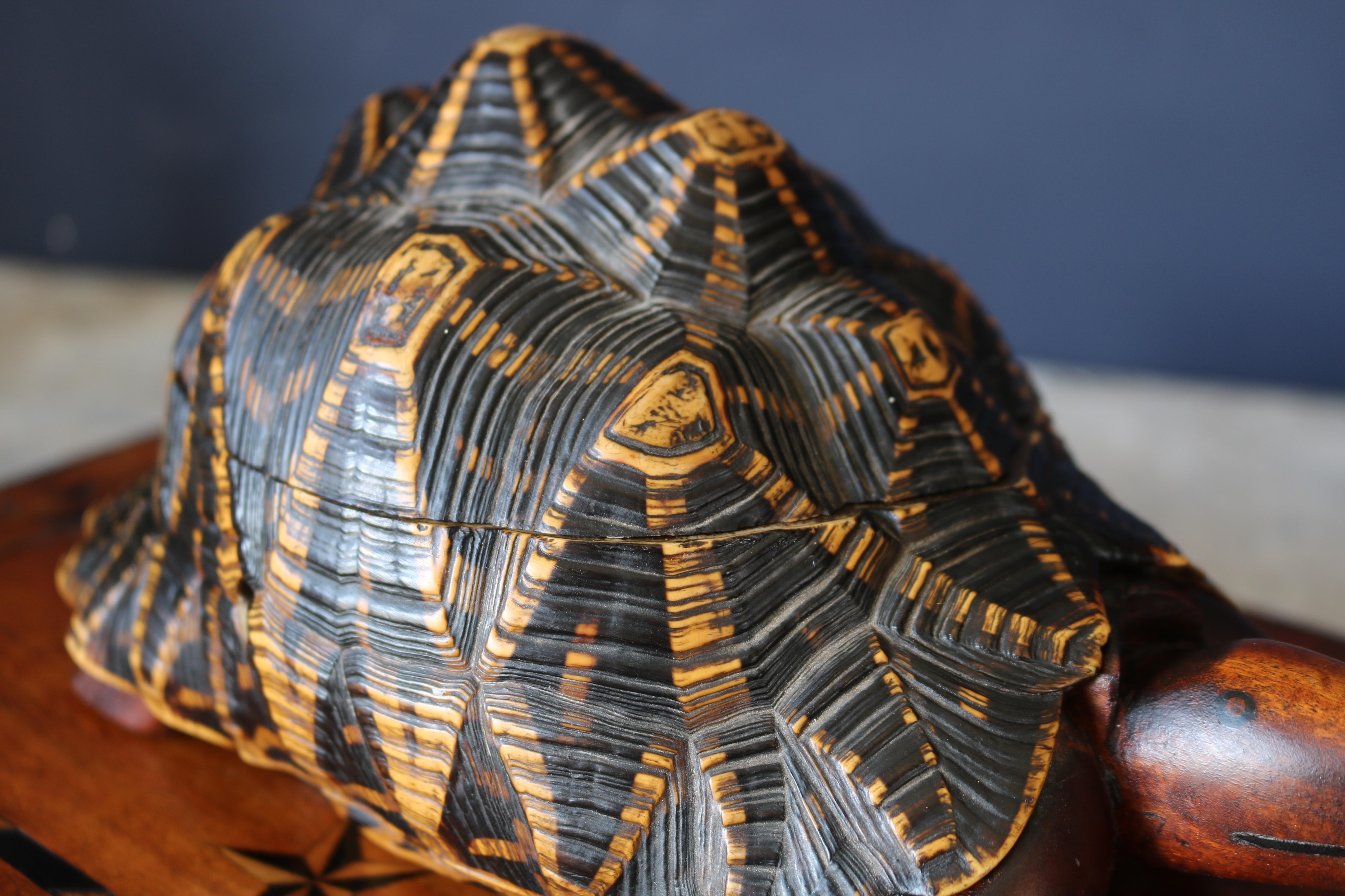Rare 19th Century Inlaid Ceylonese Tortoise Box In Good Condition In Gloucestershire, GB