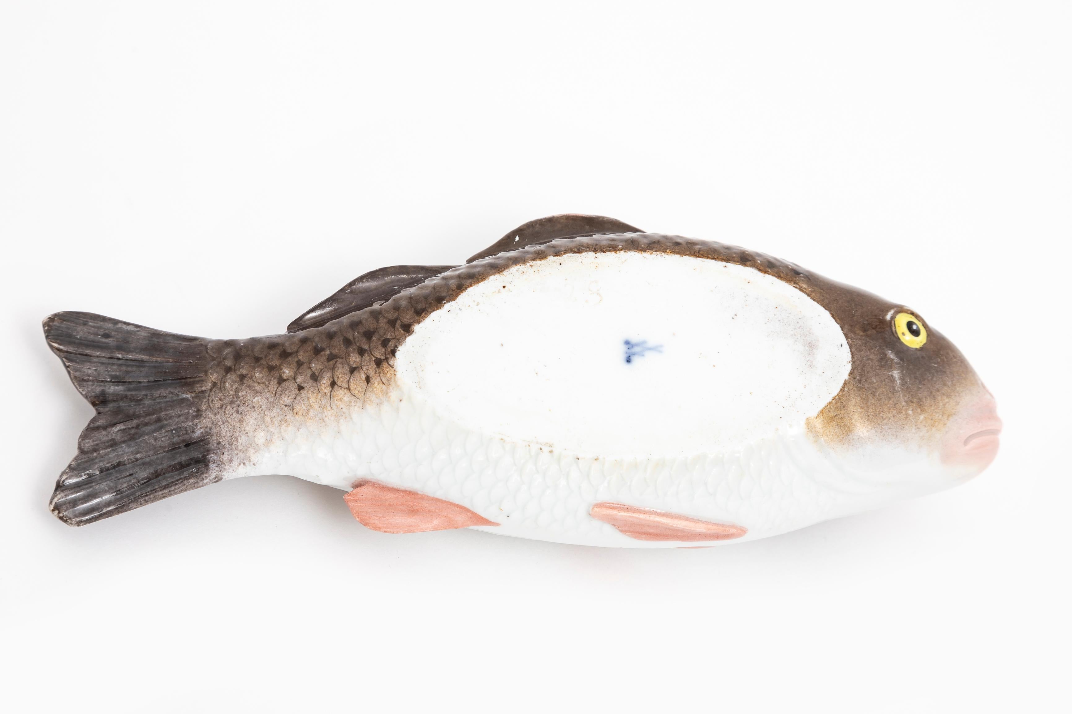 Rare Soupière couverte en porcelaine de Meissen Porcelain du 19e siècle en forme de carpe ou de poisson en vente 1