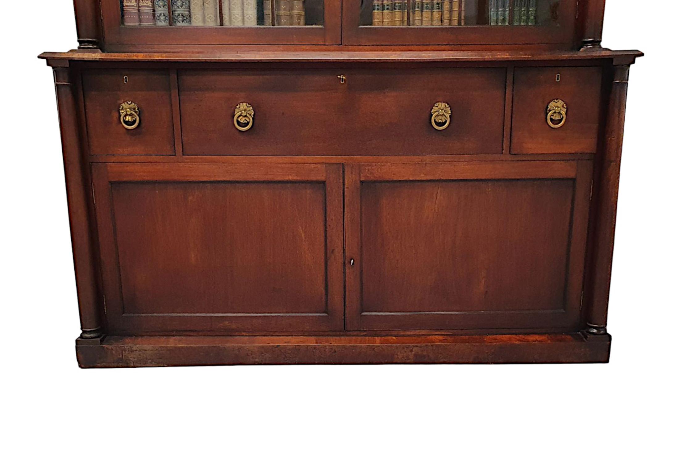 A Rare and Fine Early 19th Century William IV Irish Secretaire Bookcase For Sale 3