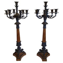 Rara y Fina Pareja de Candelabros de Bronce del Siglo XIX de Estilo Imperio