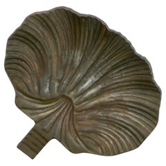 A rare and large church stoup in the shape of a shell. France 19th century.