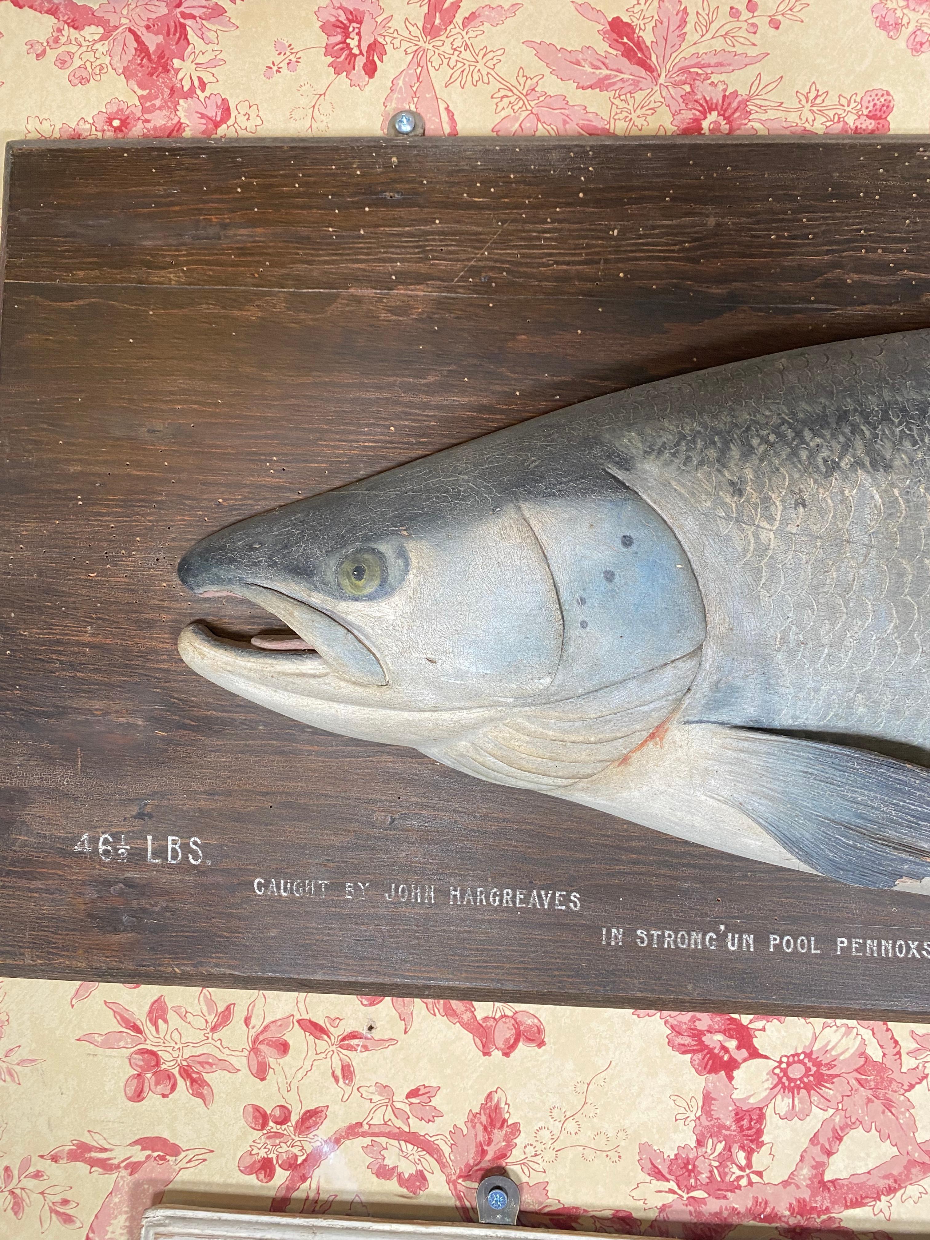 A RARE AND OUTSTANDING CARVED ATLANTIC SALMON from the Fochabers Studio.
Carved by John Tully and painted by his wife Dhuie, Daughter of John Russell, a famous wildlife artist. John was the carpenter for the Duke of Richmond and Gordon at Fochabers