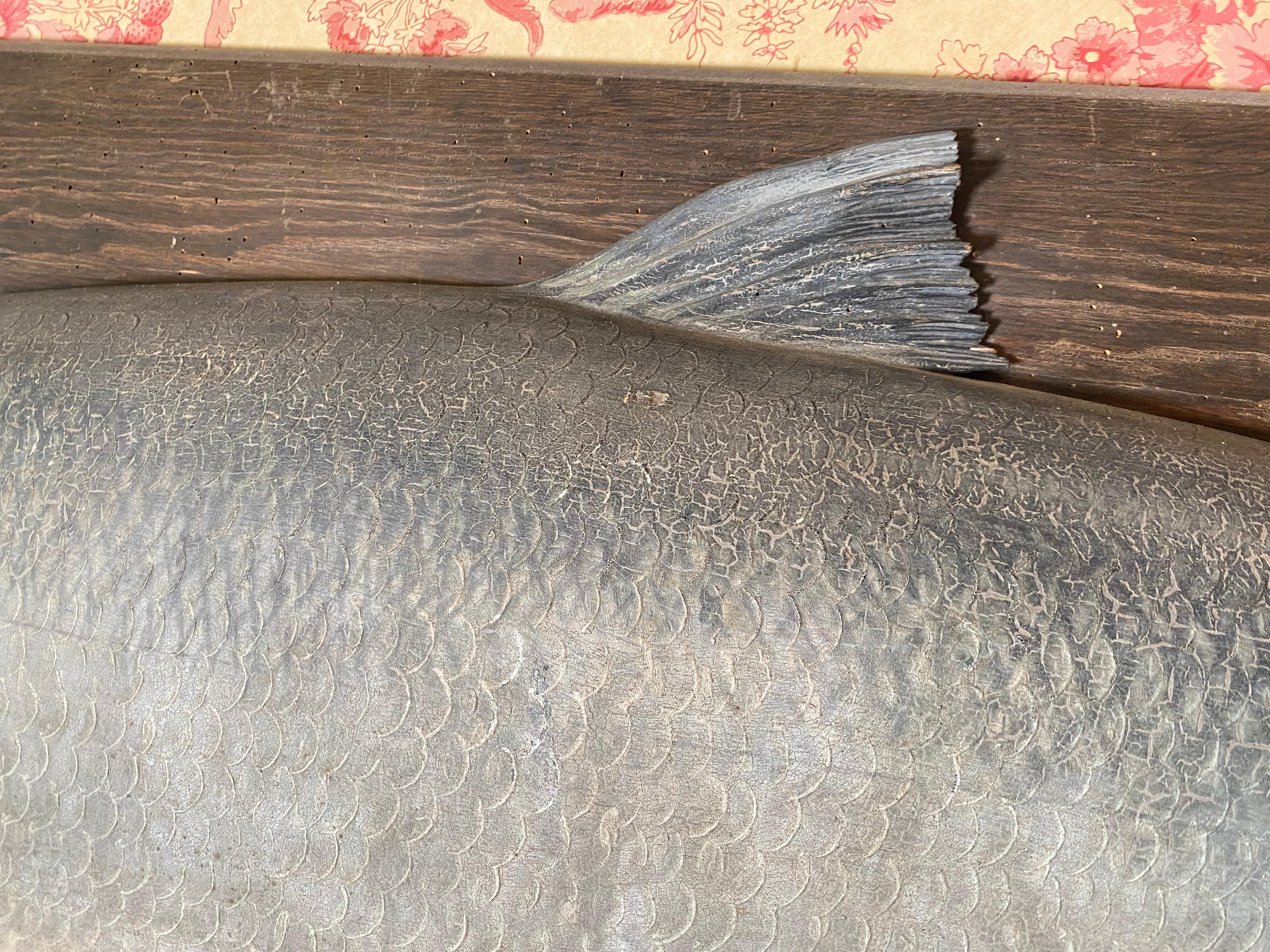 rare salmon